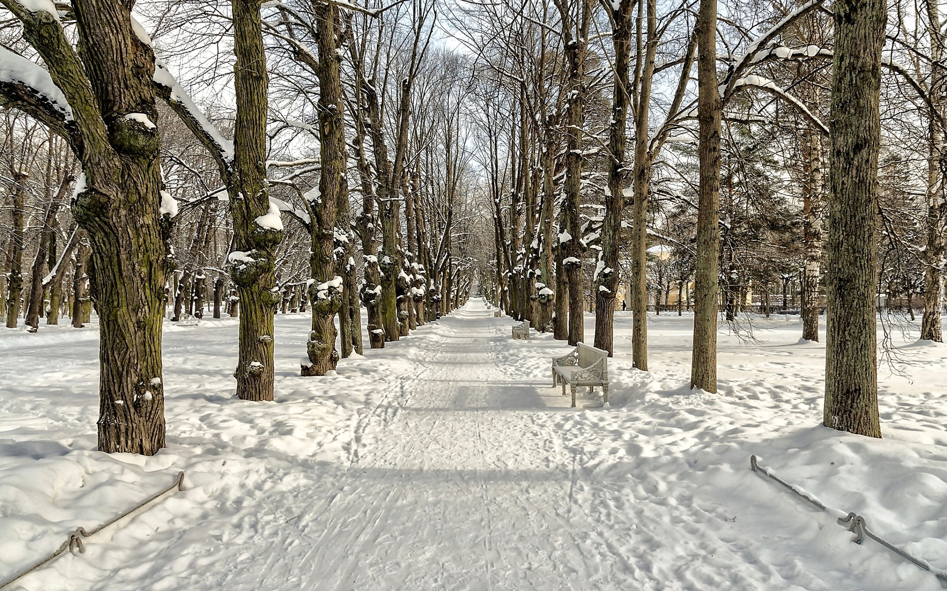 Zima, Park, Droga, Ławki, Drzewa