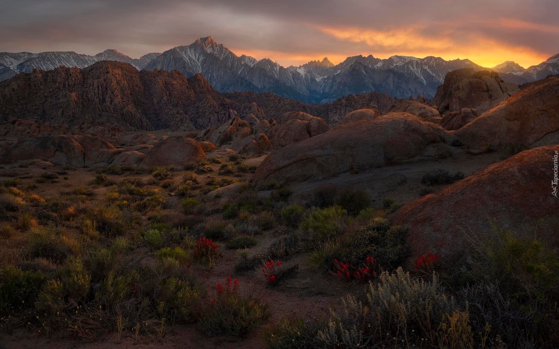 Góry, Sierra Nevada, Pasmo, Alabama Hills, Krzewy, Zachód słońca, Kalifornia, Stany Zjednoczone