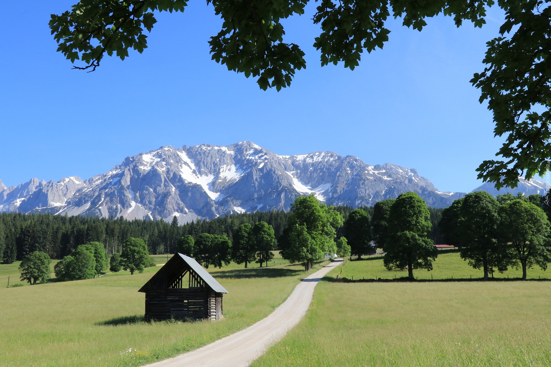 Góry Dachstein, Alpy Salzburskie, Droga, Drzewa, Szopa, Styria, Austria