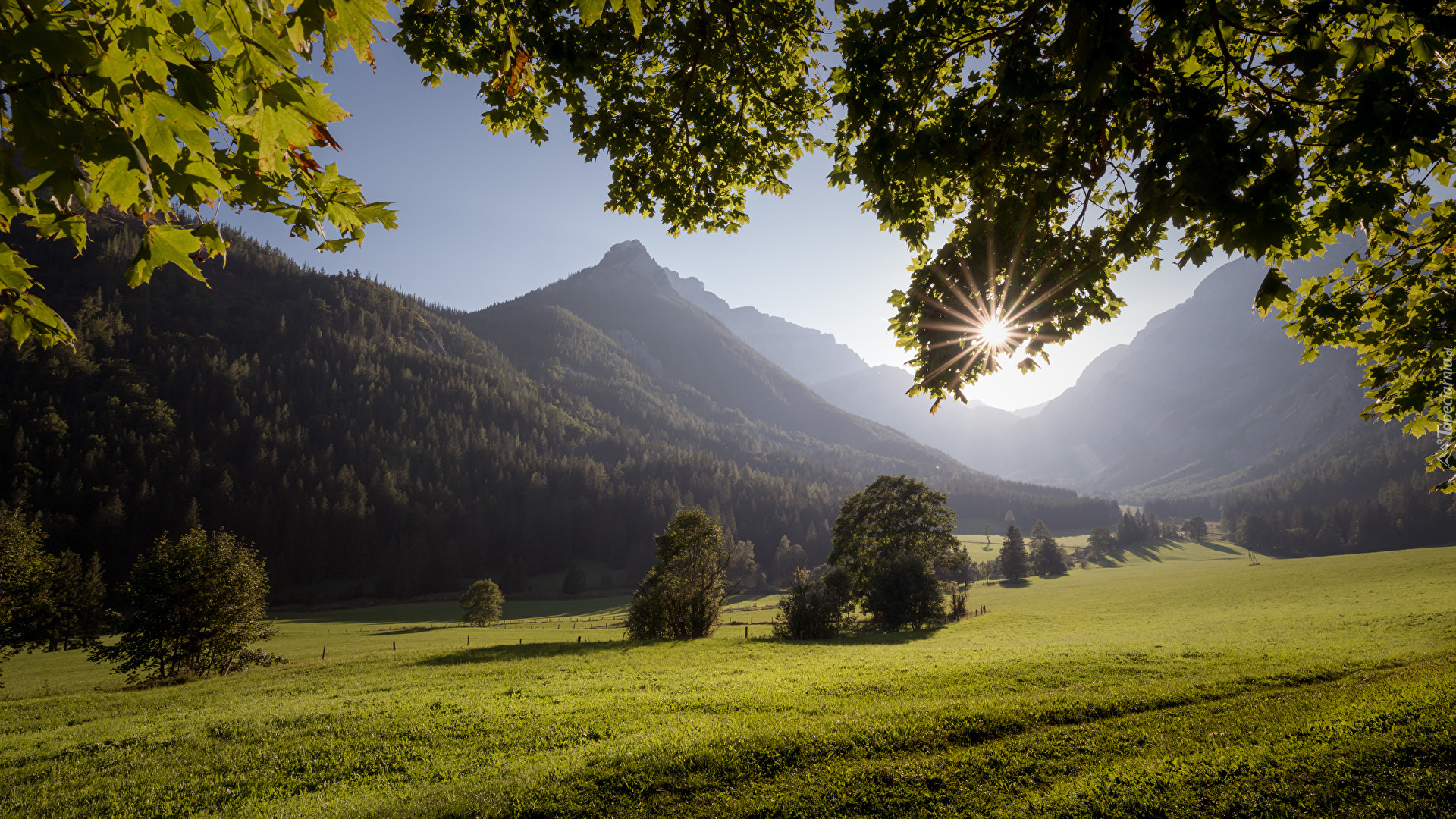 Austria, Styria, Góry, Hochschwabgruppe, Alpy wapienne, Polana, Drzewa, Promienie słońca