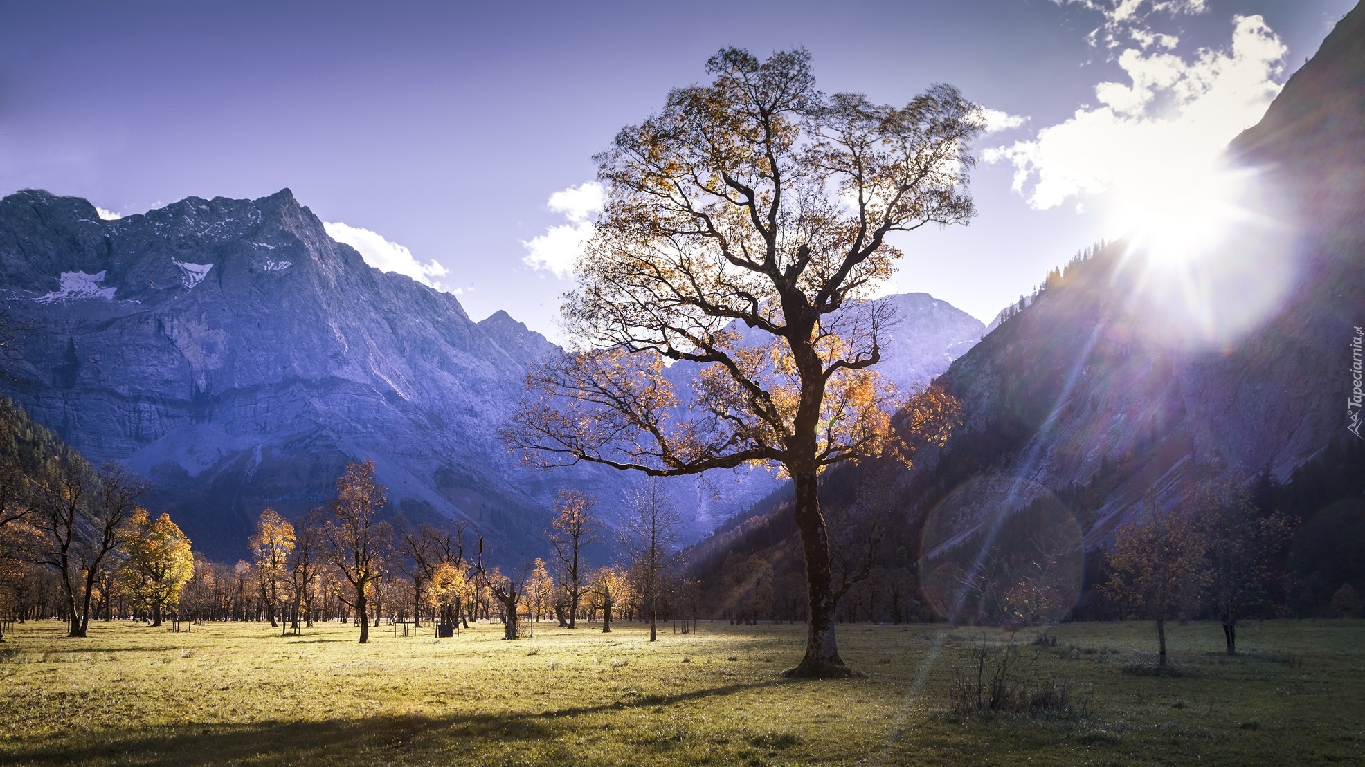 Austria, Góry Karwendel, Alpejski Park Krajobrazowy Karwendel, Dolina Rißtal, Pastwisko alpejskie Großer Ahornboden, Drzewa, Słońce, Promienie, Drzewa, Łąka