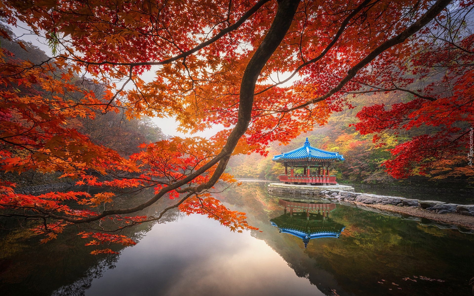 Jesień, Staw Sagiike, Gałęzie, Klon, Altana, Pawilon Ukimido, Nara Park, Nara, Japonia