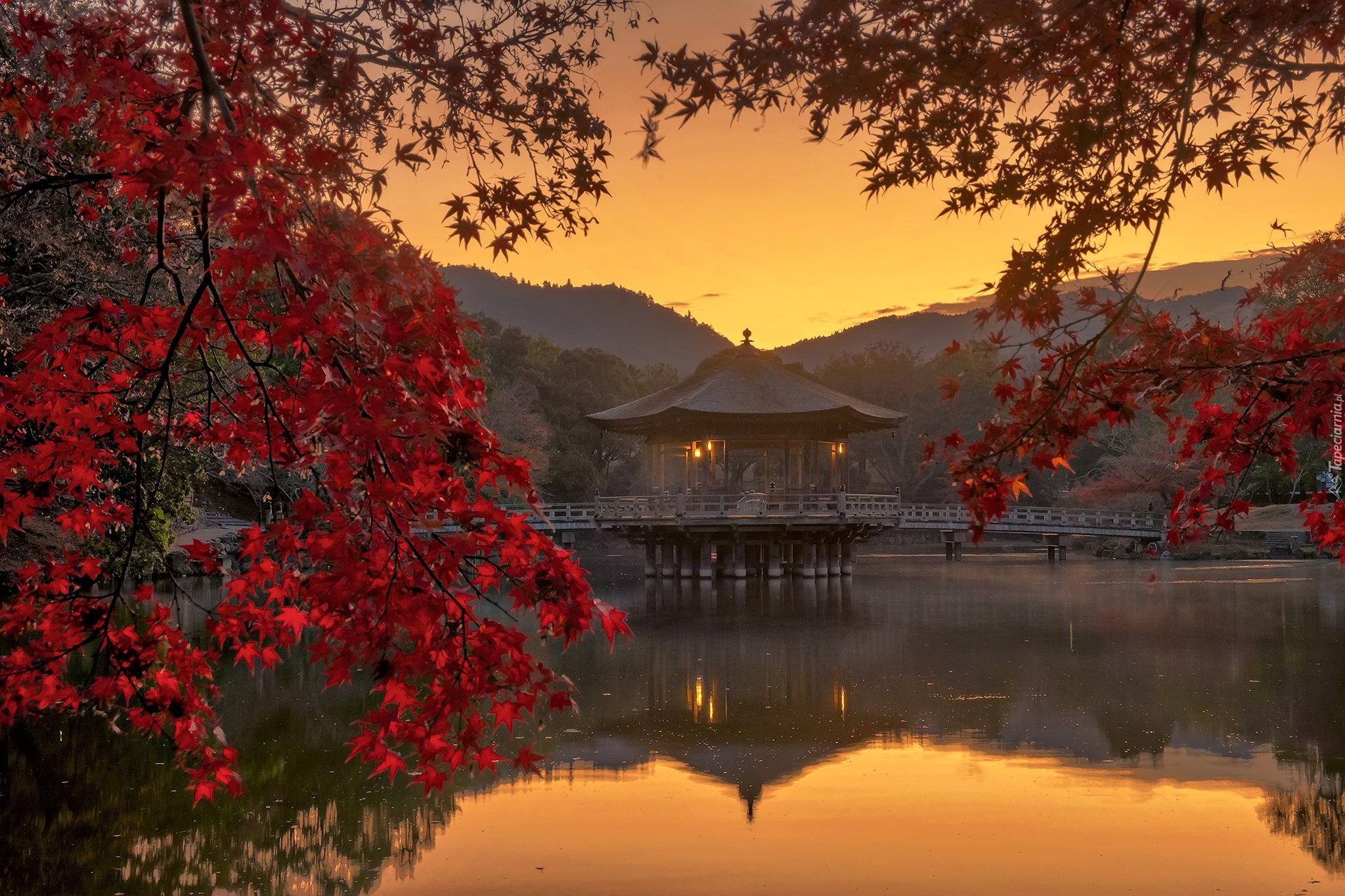 Jesień, Staw, Sagiike, Gałęzie, Most, Altana, Pawilon Ukimido, Zachód słońca, Nara Park, Nara, Japonia