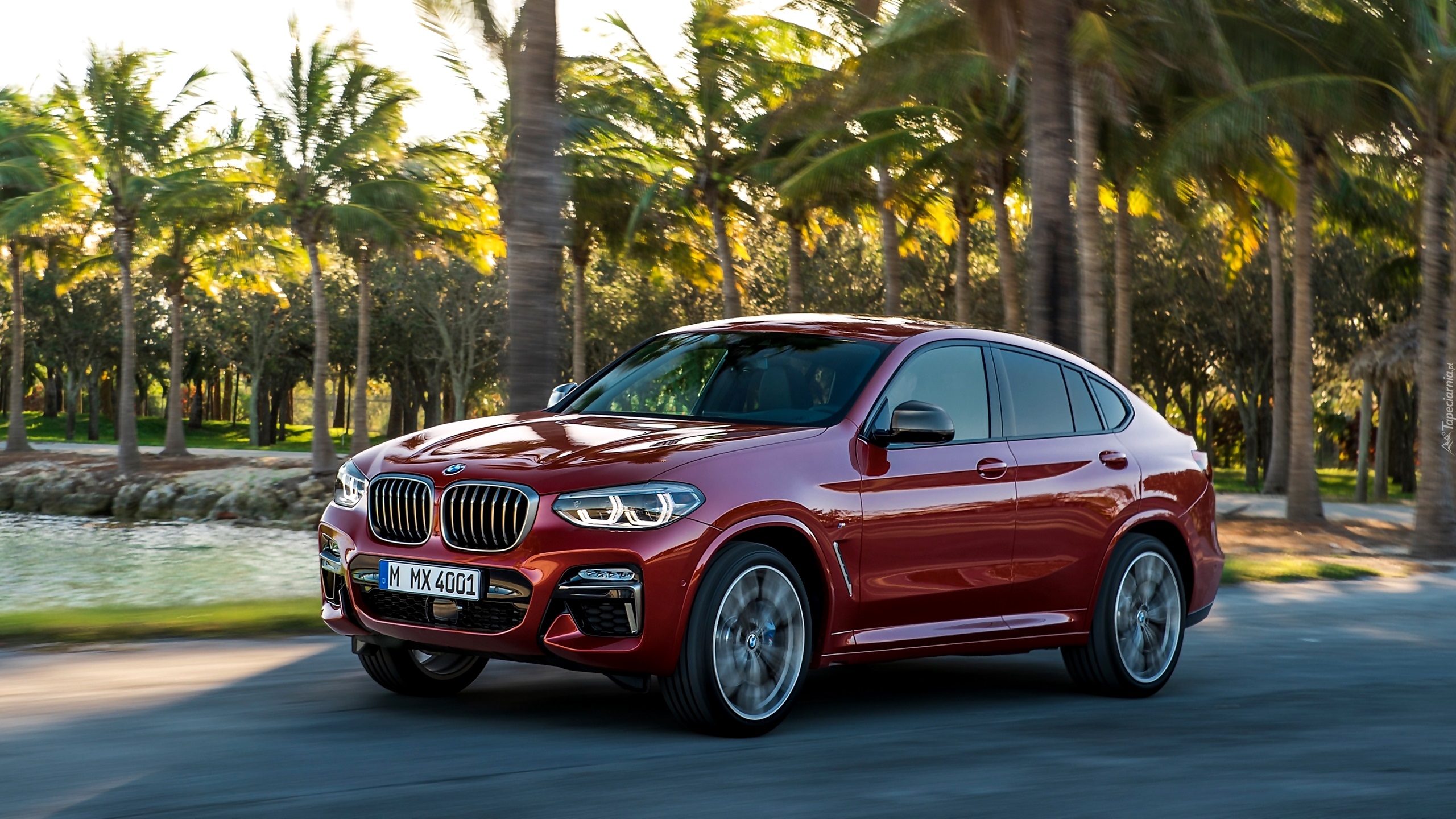 BMW X4, M40d, Droga, Palmy