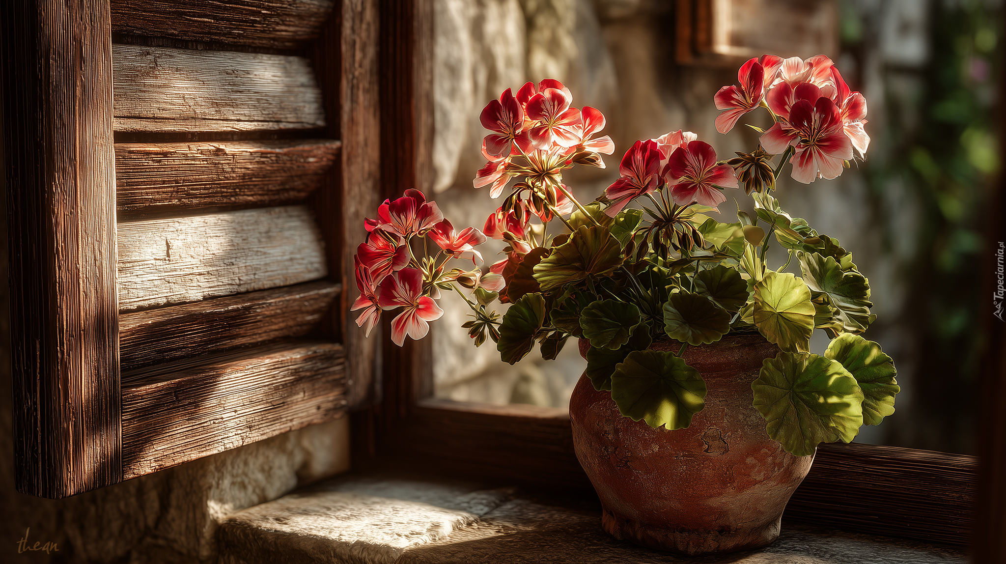 Pelargonie, Gliniana, Donica, Stary, Parapet, Okiennice, Grafika AI