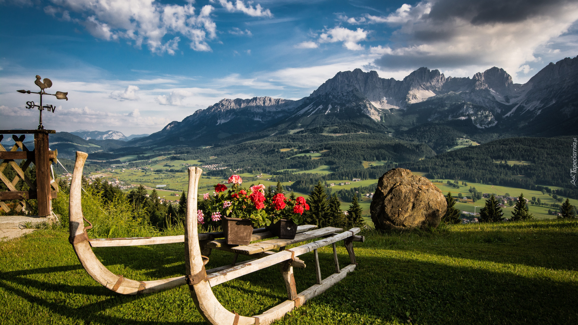 Pelargonie, Sanki, Góry, Alpy, Tyrol, Austria