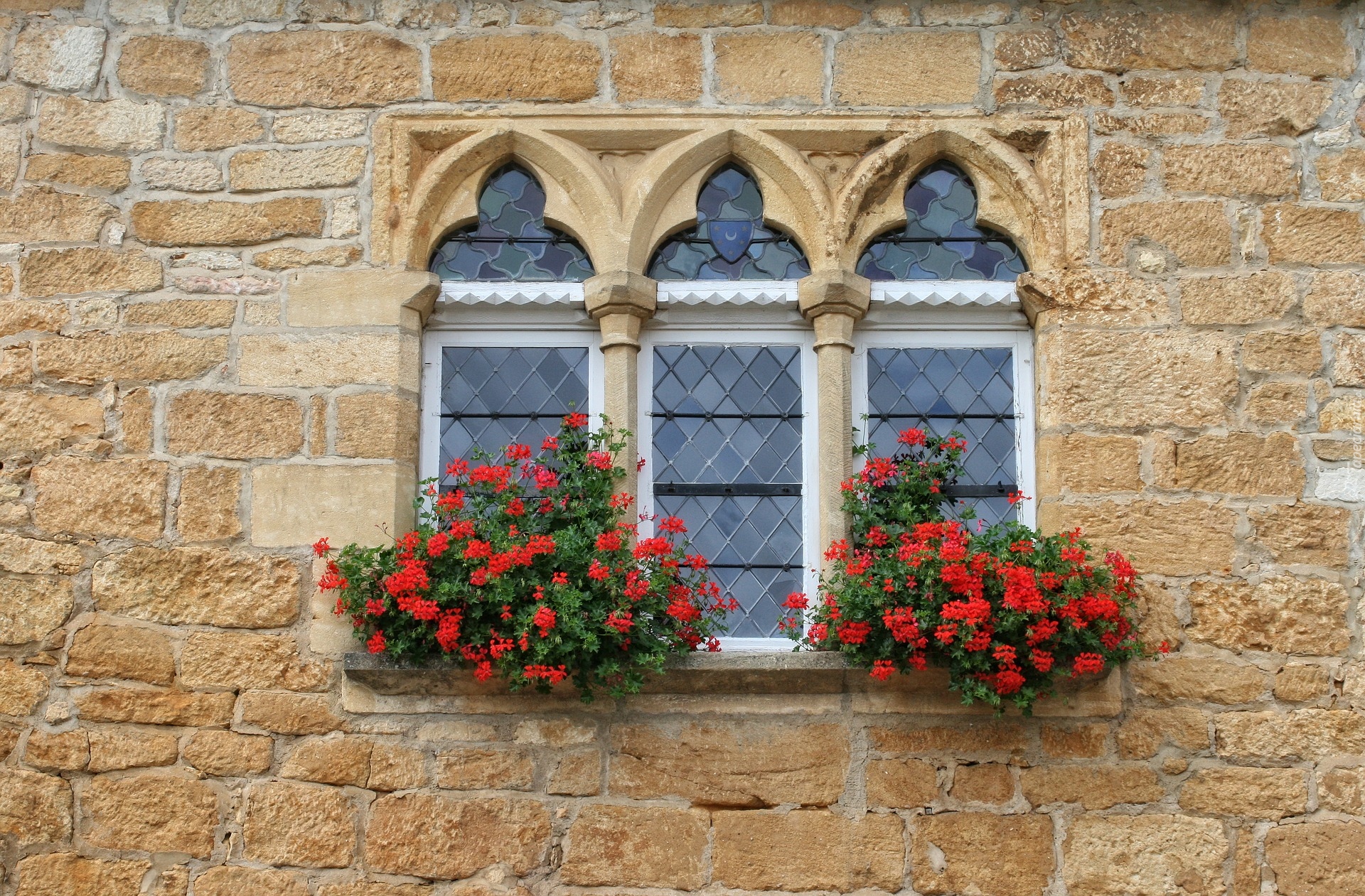 Dom, Ściana, Okno, Kwiaty, Pelargonia Domy