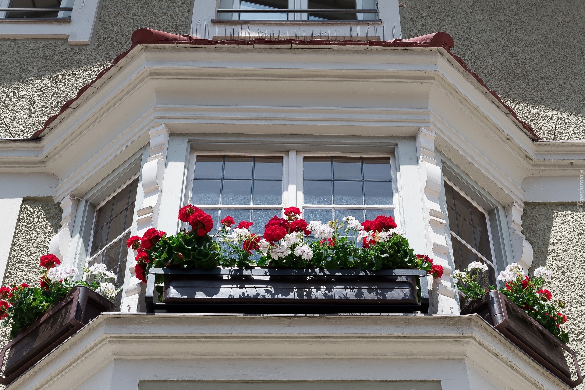 Ściana, Dom, Okno, Wykusz, Donice, Kwiaty, Pelargonie Pelargonia