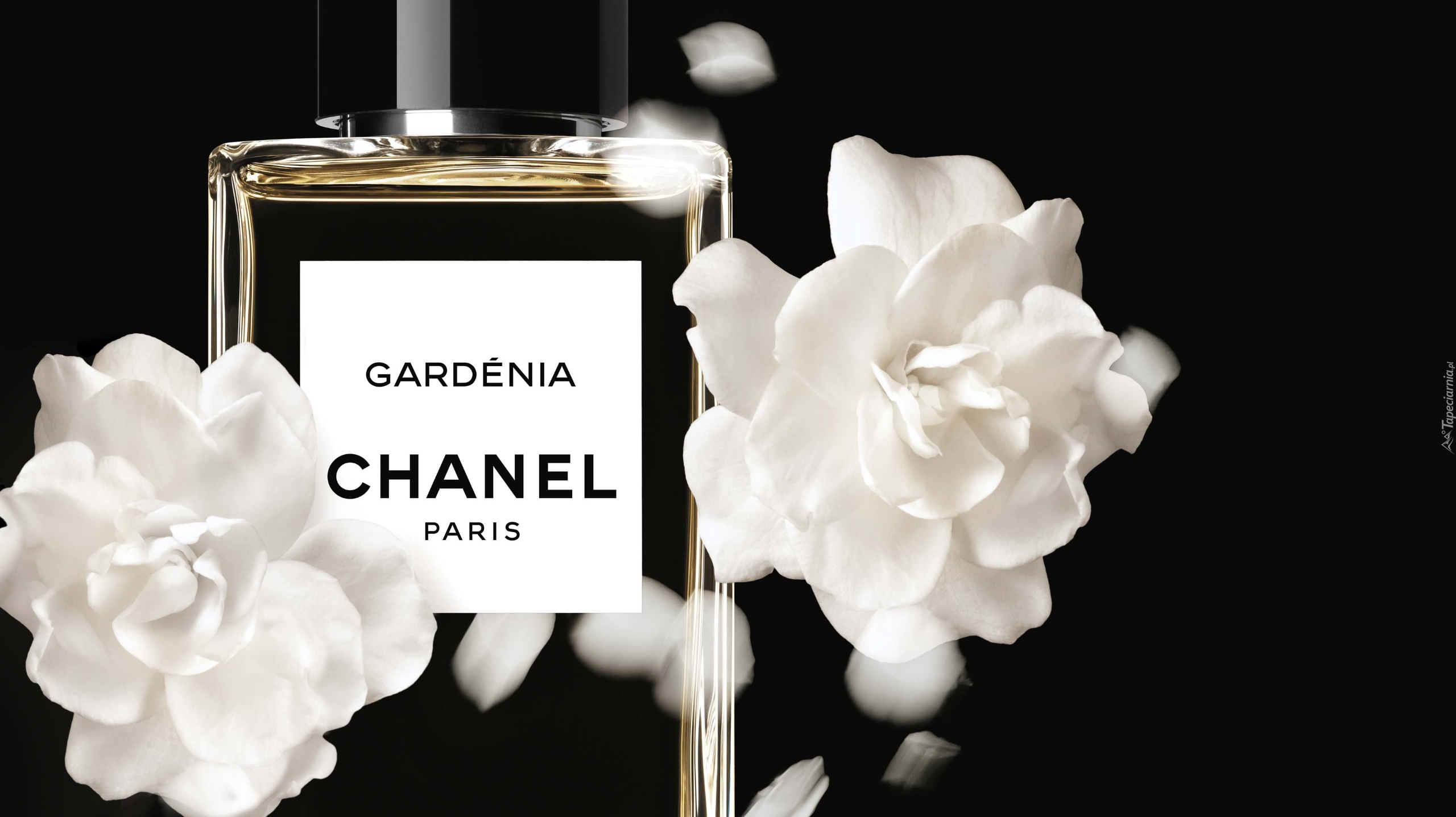 Kwiaty, Gardenia, Perfumy, Chanel