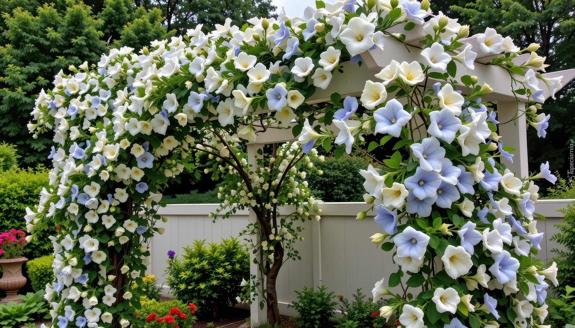 Kwiaty, Pergola, Płot, Grafika AI