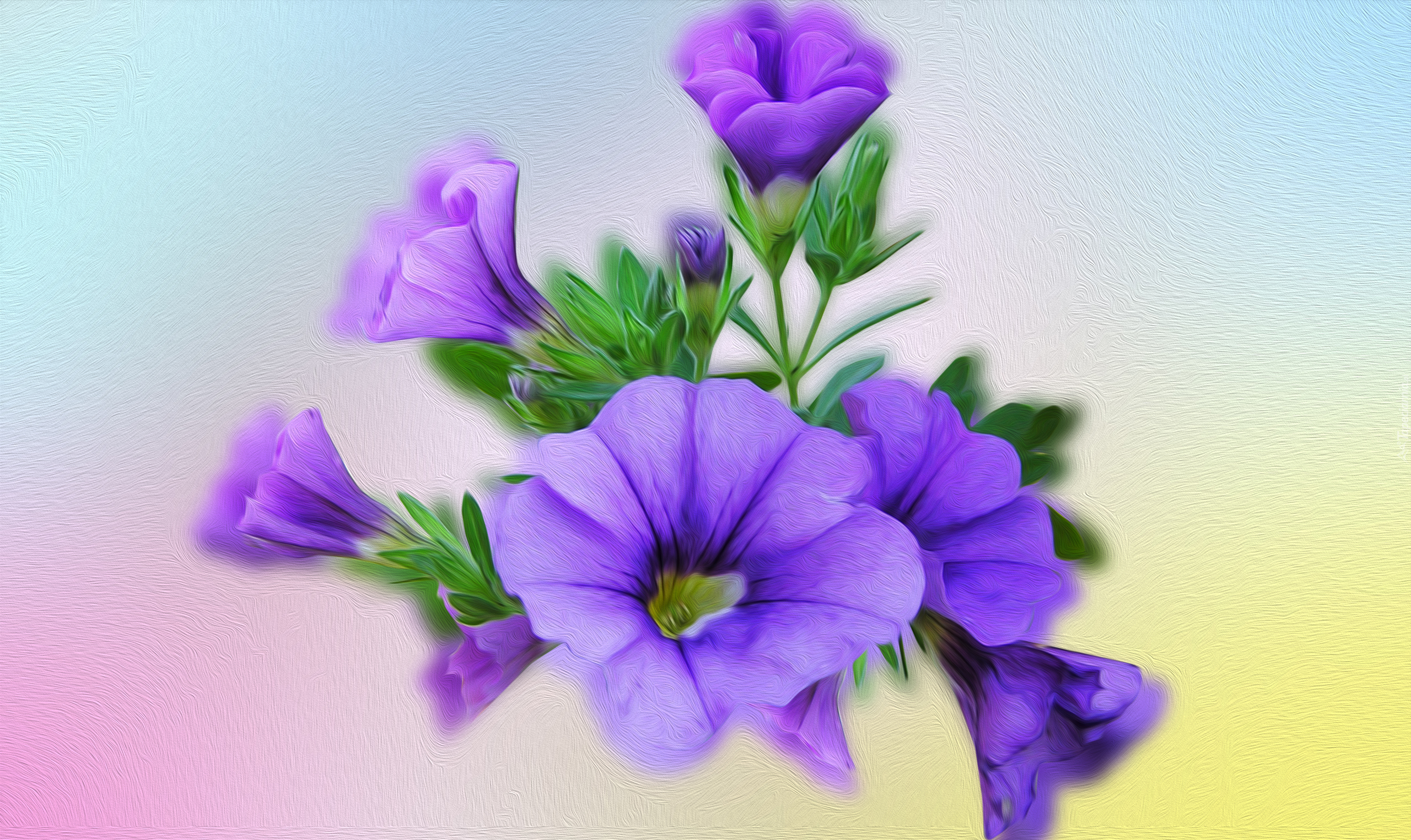 Kwiaty, Petunia, Grafika