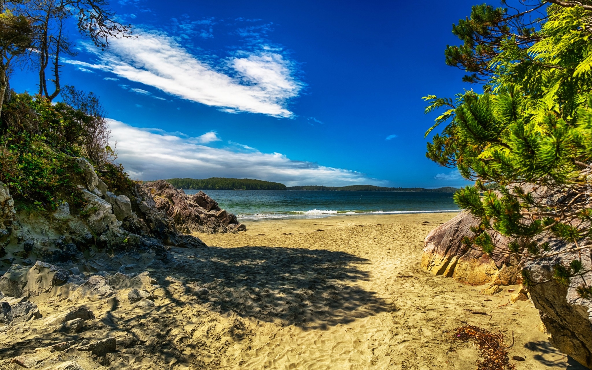 Kanada, Kolumbia Brytyjska, Tonquin Park, Plaża Tonquin Beach, Morze, Skały, Drzewa