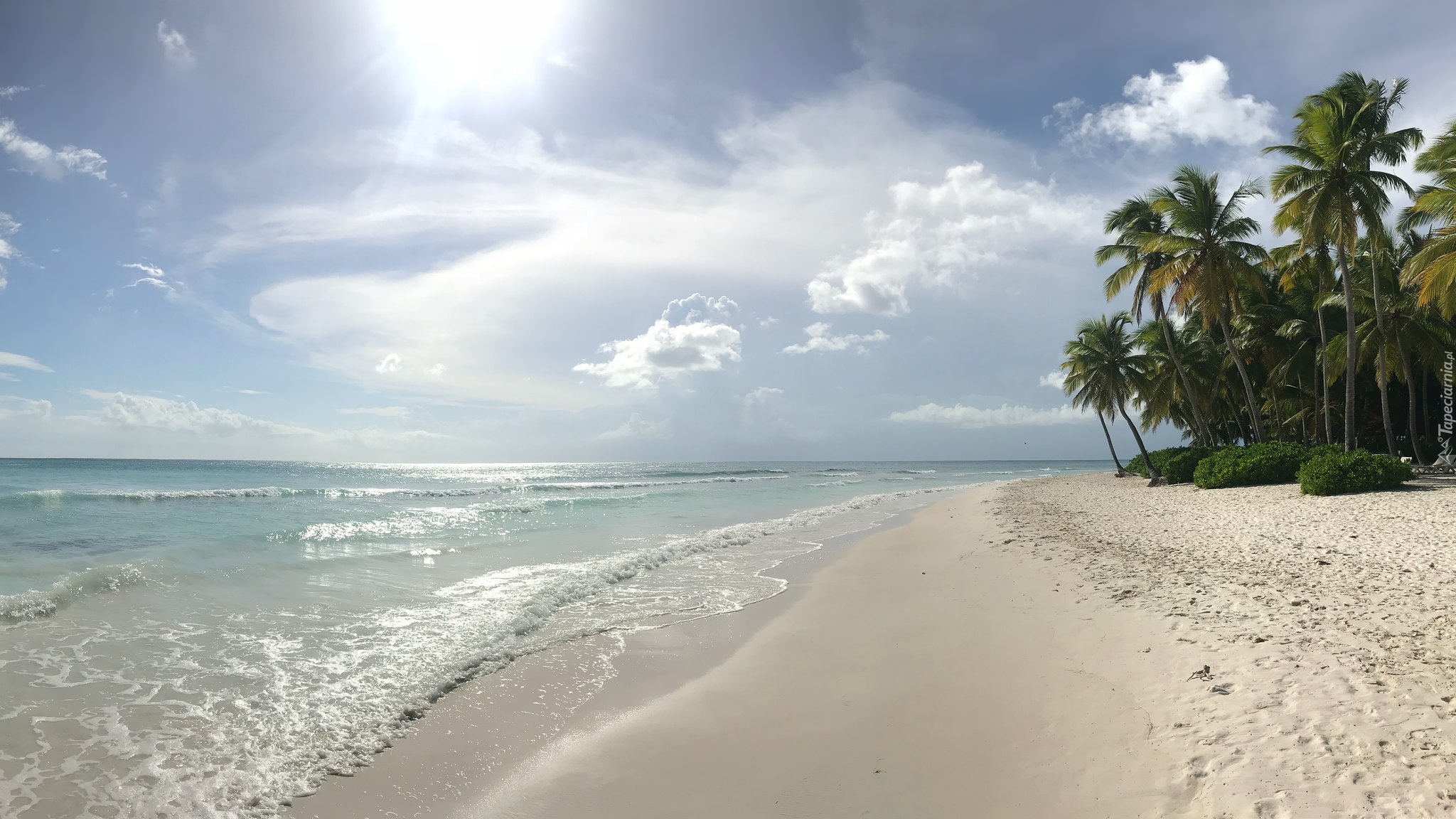 Dominikana, La Altagracia, Plaża, Morze, Palmy, Promienie słońca
