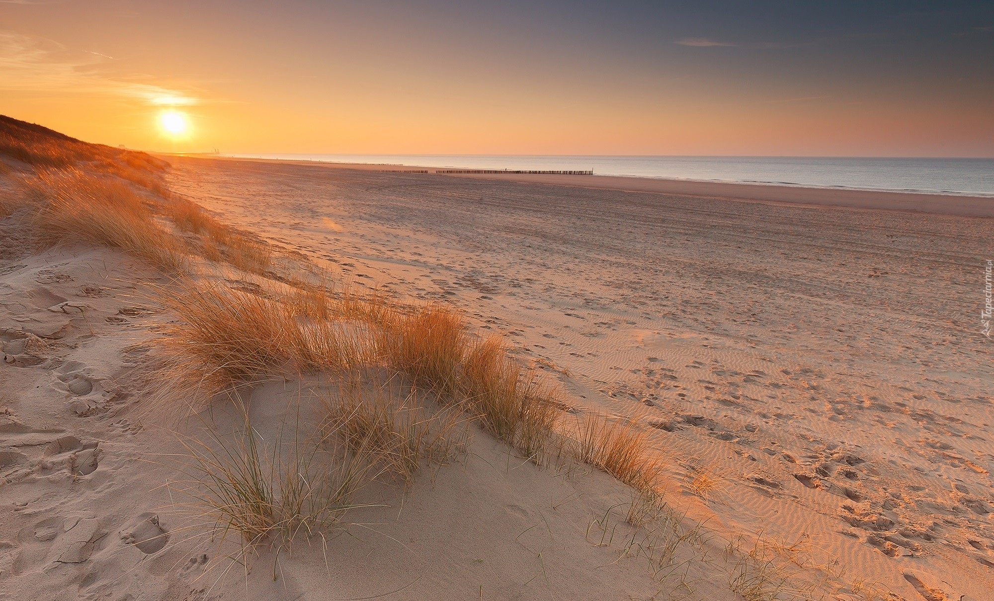 Holandia, Cadzand, Morze Północne, Plaża, Piasek, Wschód słońca