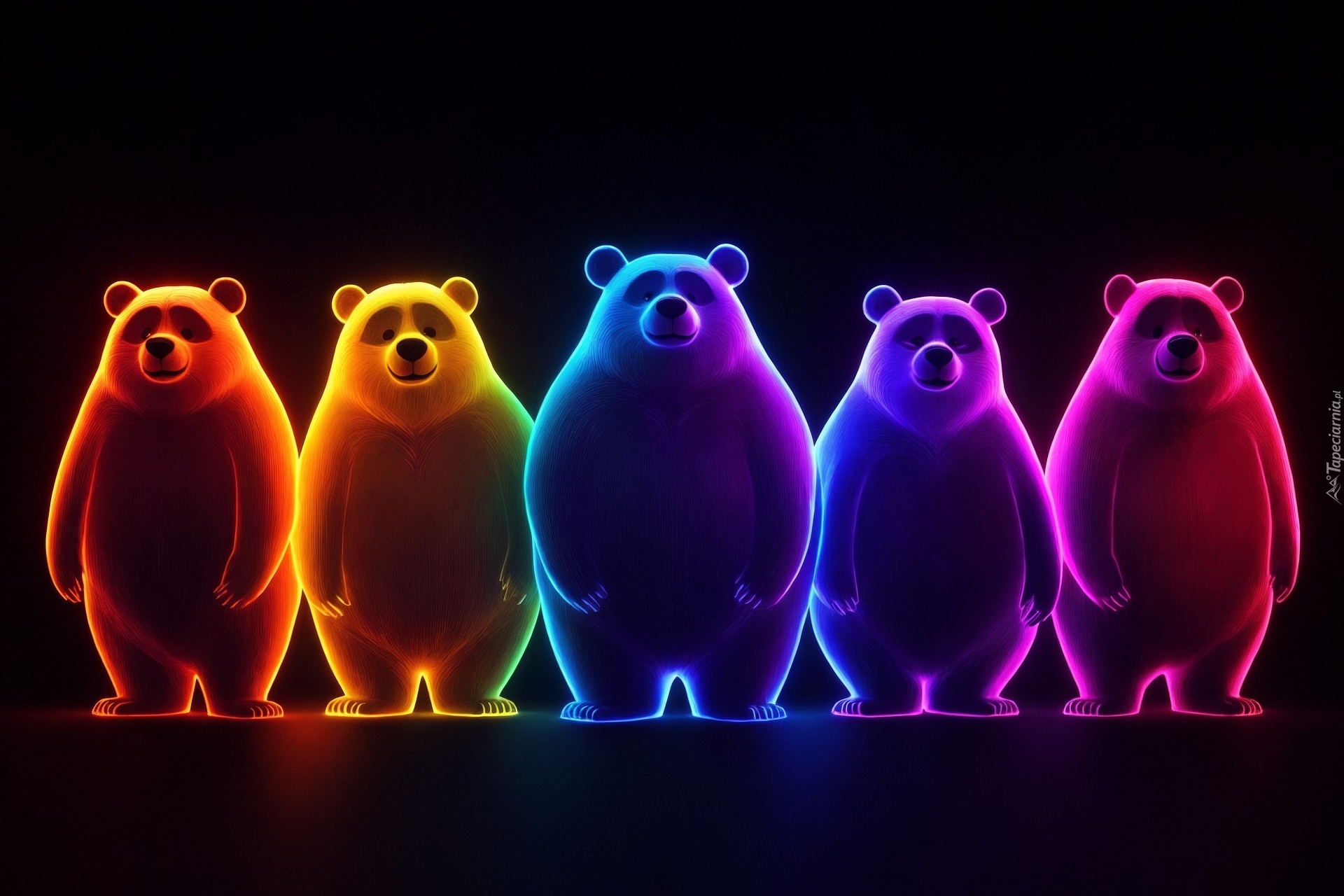 Niedźwiedzie, Kolorowy, Neon, Grafika