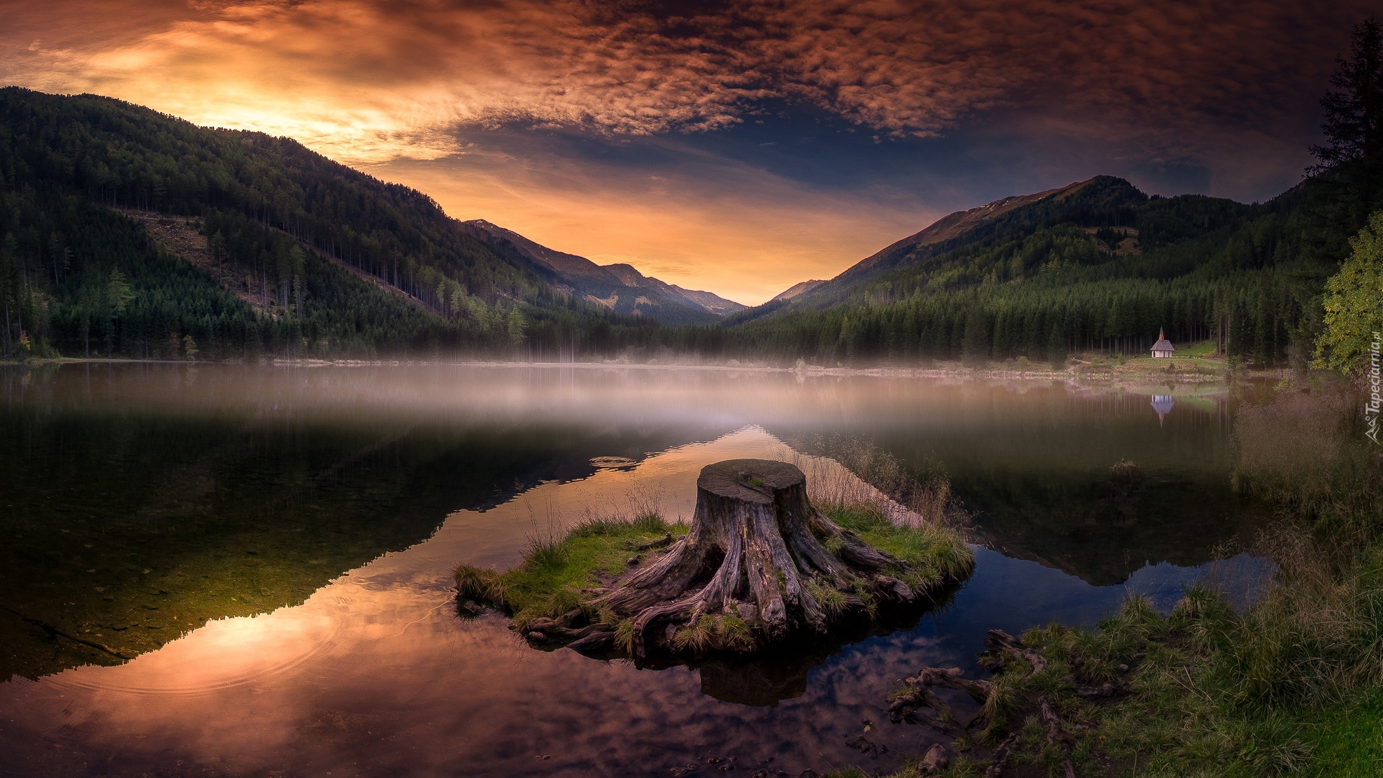 Góry, Jezioro Ingeringsee, Pień, Mgła, Zachód słońca, Gmina Gaal, Styria, Austria