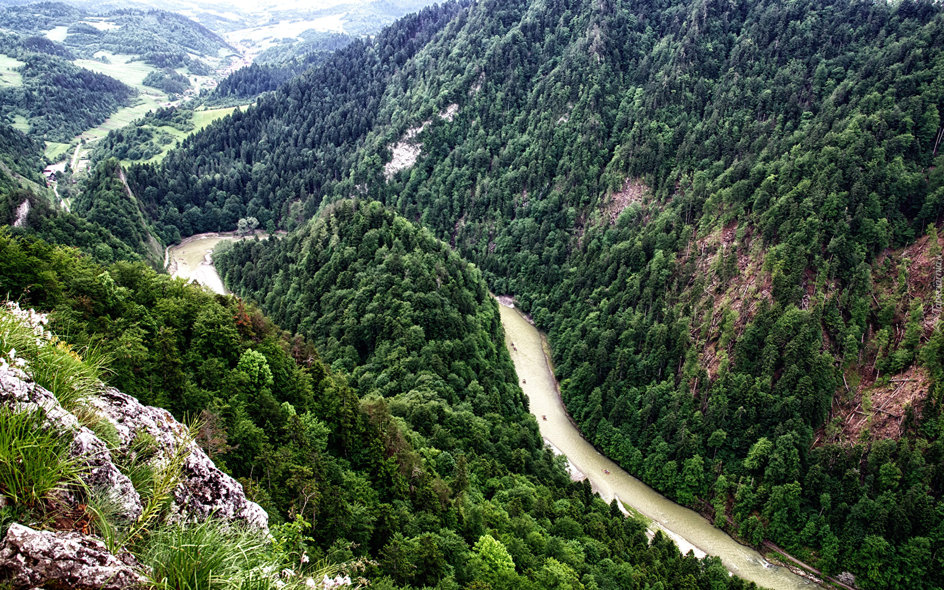 Góry Pieniny, Lasy, Drzewa, Skały, Rzeka Dunajec, Pieniński Przełom Dunajca, Polska