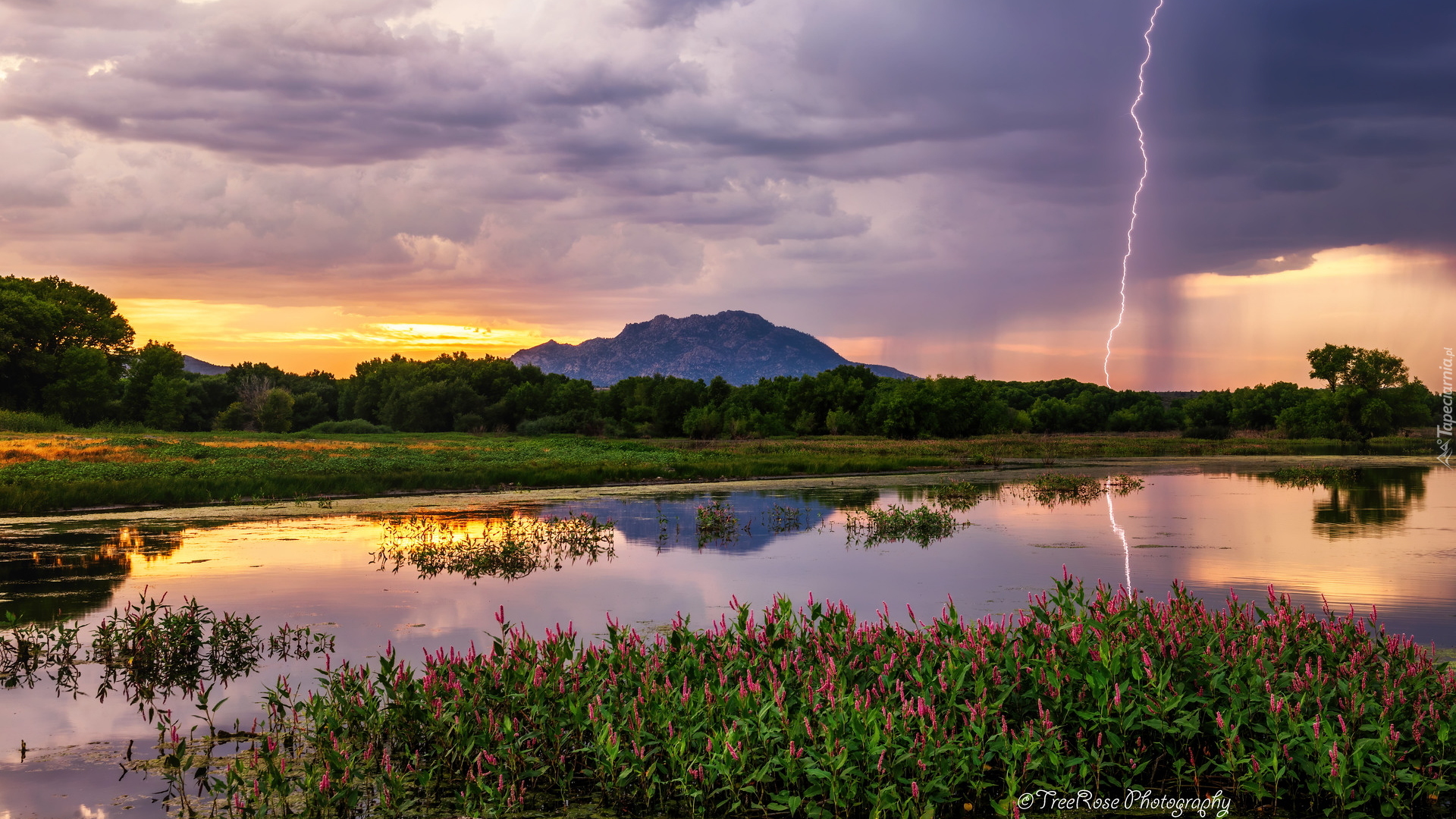 Stany Zjednoczone, Arizona, Hrabstwo Yavapai, Prescott, Jezioro Willow Lake, Piorun, Burza