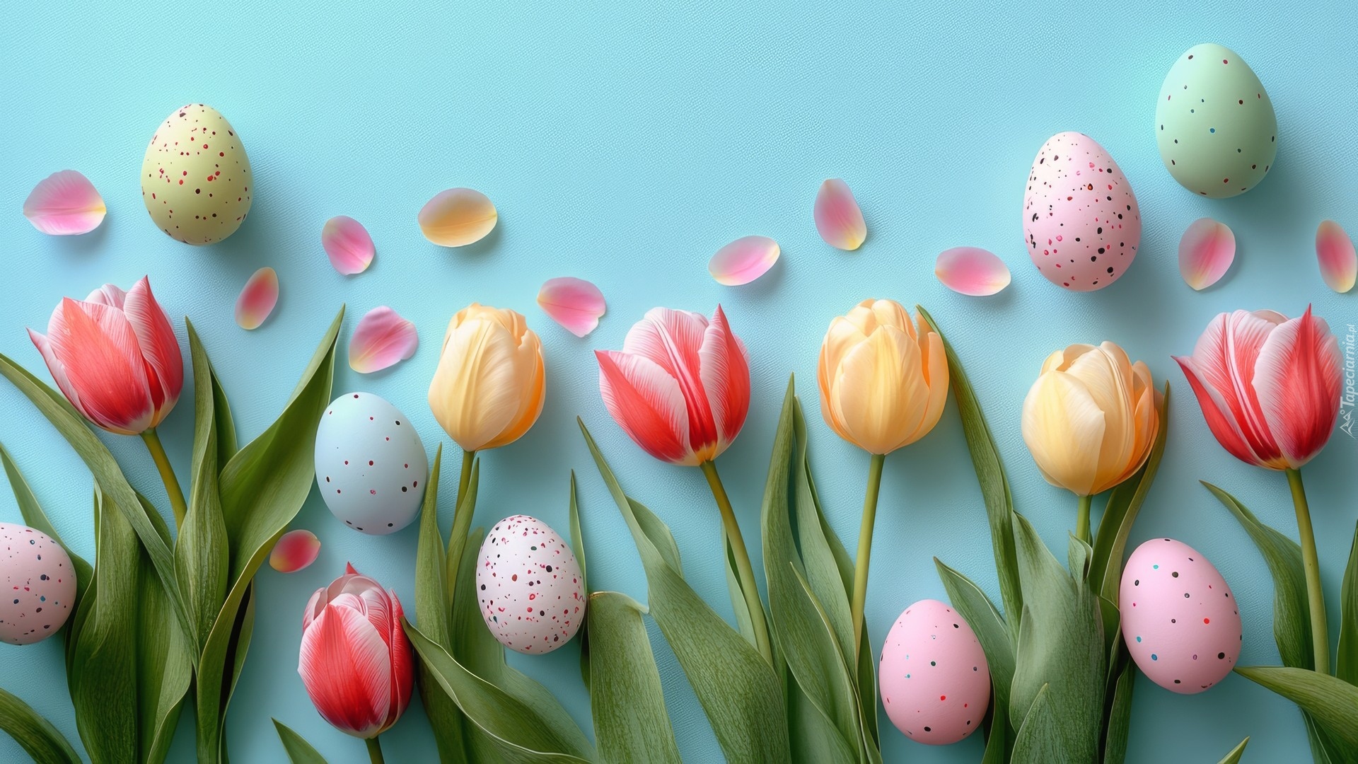 Wielkanoc, Pisanki, Tulipany, Płatki, Tło