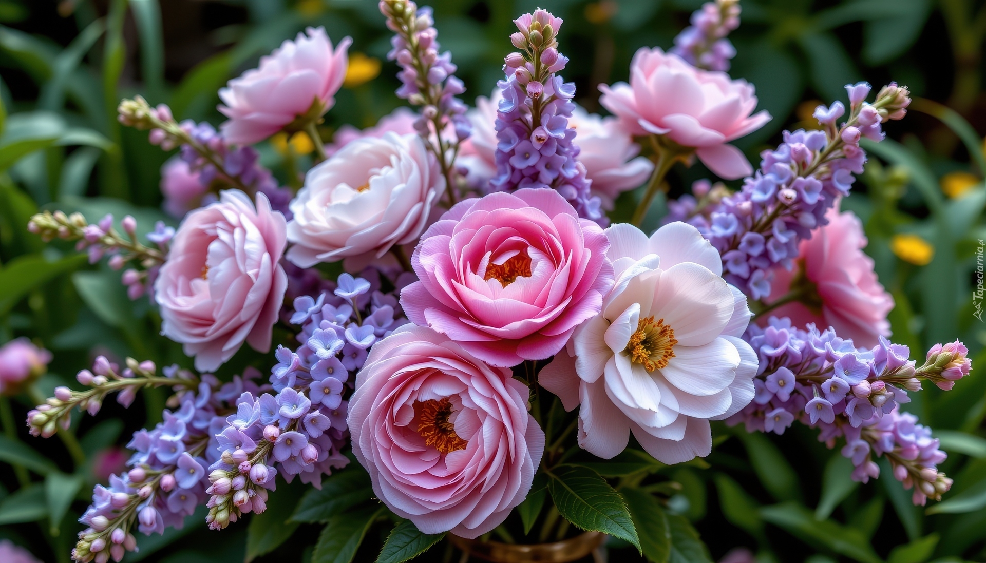 Bukiet, Kwiaty, Piwonie