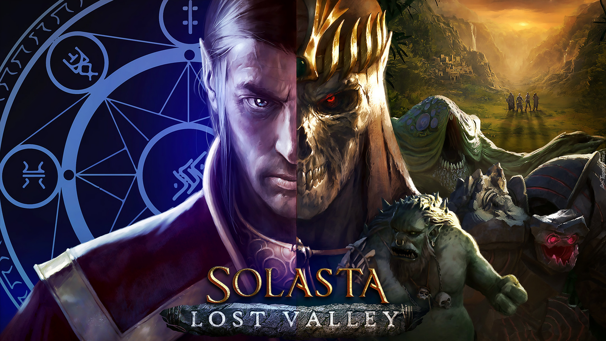 Gra, Solasta Crown of the Magister, Lost Valley, Postać, Diagram, Twarz, Plakat