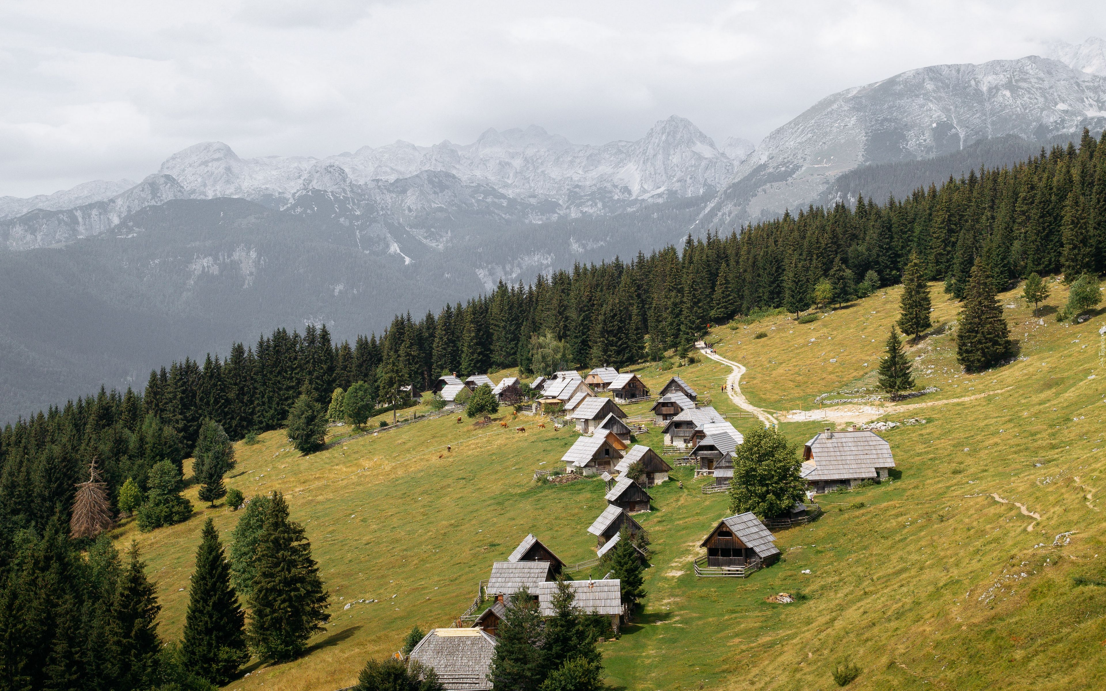 Domy, Zbocze, Drzewa, Góry, Alpy, Planina Zajamniki, Gmina Bohinj, Słowenia