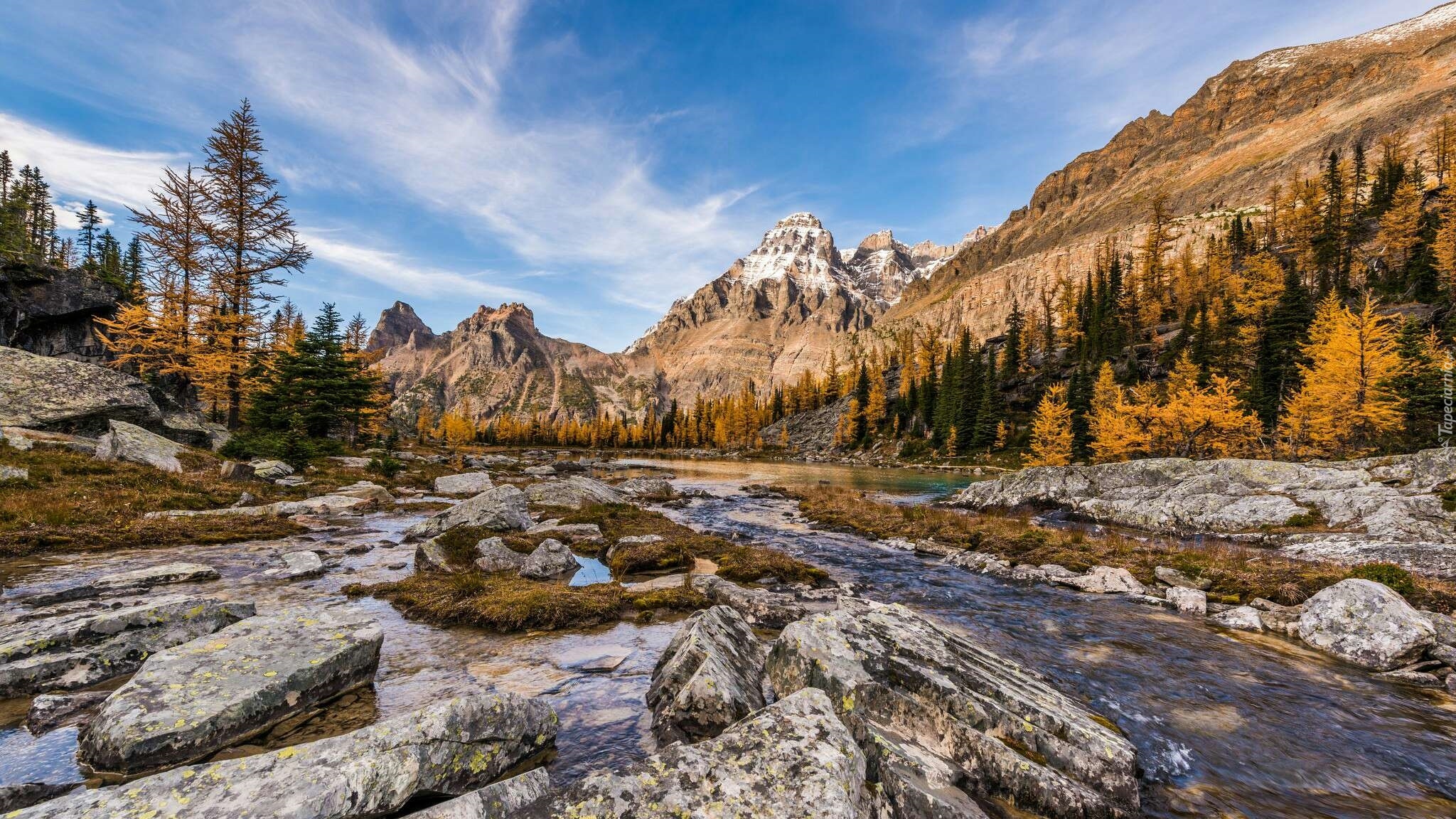 Kanada, Kolumbia Brytyjska, Park Narodowy Yoho, Płaskowyż Opabin Plateau, Góra Mount Huber, Strumień, Góry, Drzewa, Rzeka, Kamienie