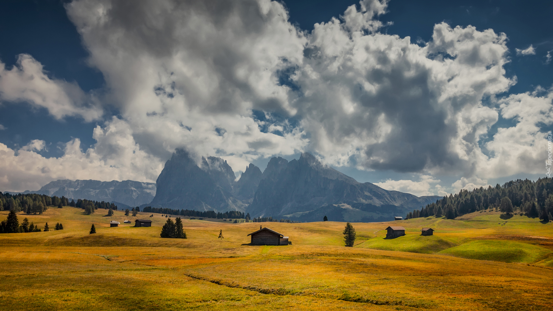 Góry Sassolungo, Dolomity, Płaskowyż Seiser Alm, Dolina Val Gardena, Drzewa, Domy, Łąki, Chmury, Włochy