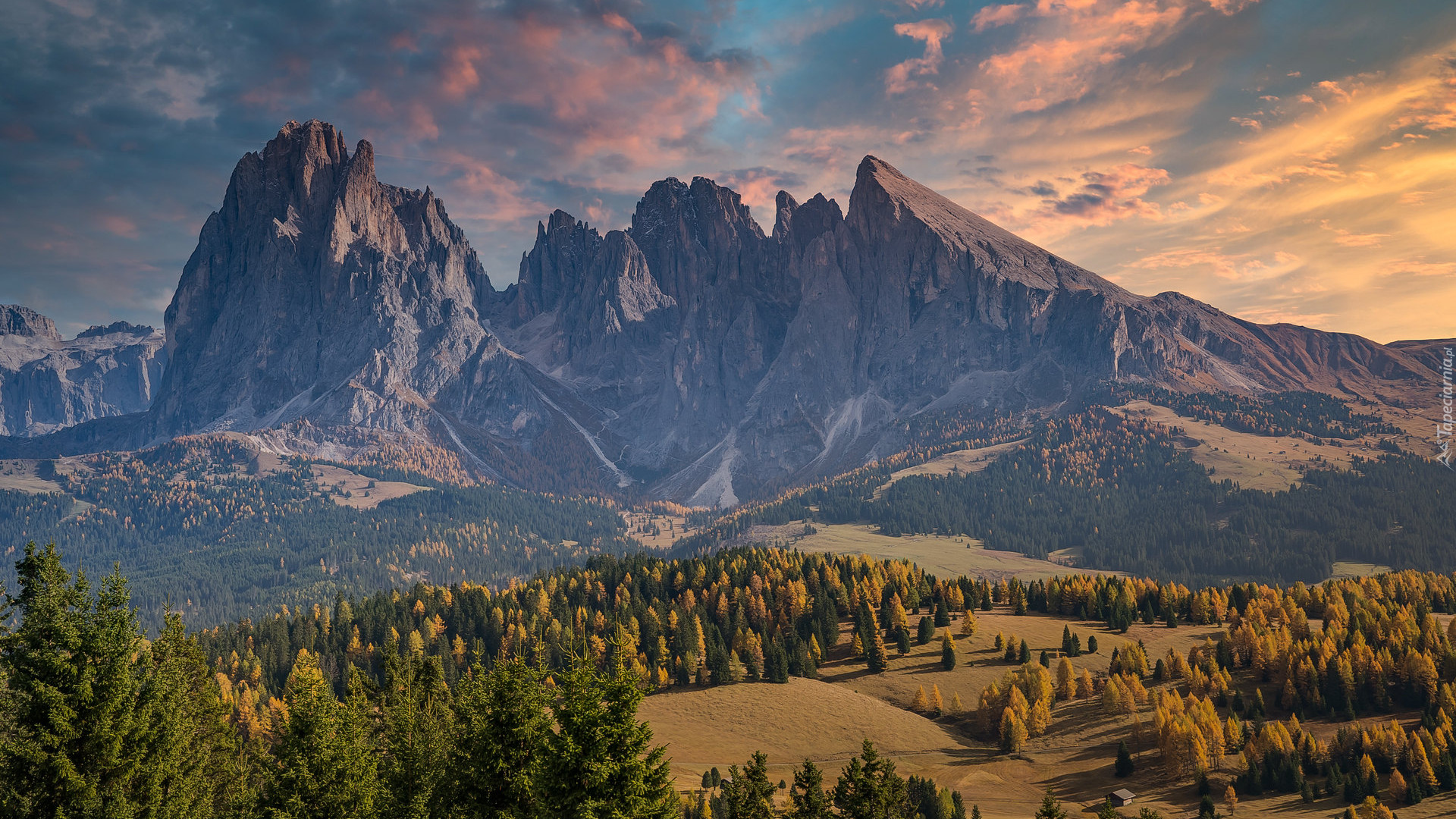 Góry Sassolungo, Dolina Val Gardena, Drzewa, Jesień, Płaskowyż Seiser Alm, Włochy