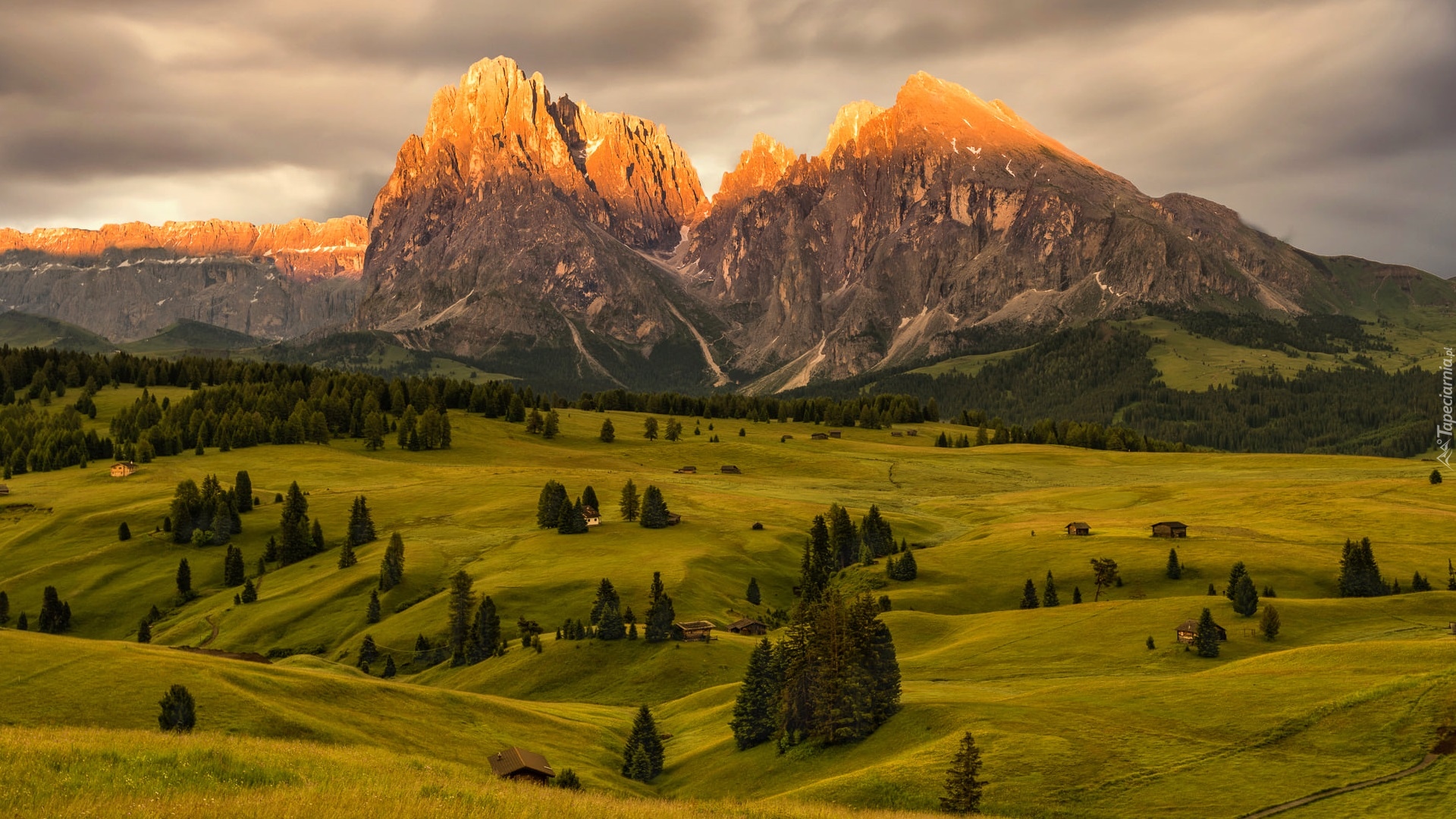 Dolomity, Góry Sassolungo, Płaskowyż, Seiser Alm, Dolina, Val Gardena, Drzewa, Chmury, Drewniane, Domy, Włochy