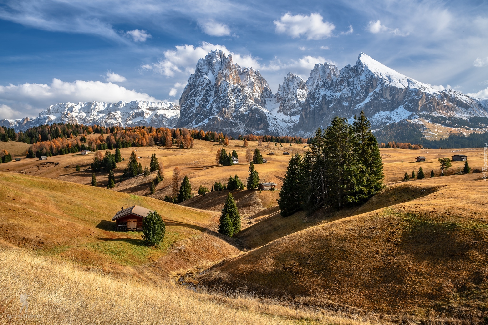 Dolina Val Gardena, Góry Sassolungo, Dolomity, Płaskowyż Seiser Alm, Domy, Drzewa, Włochy