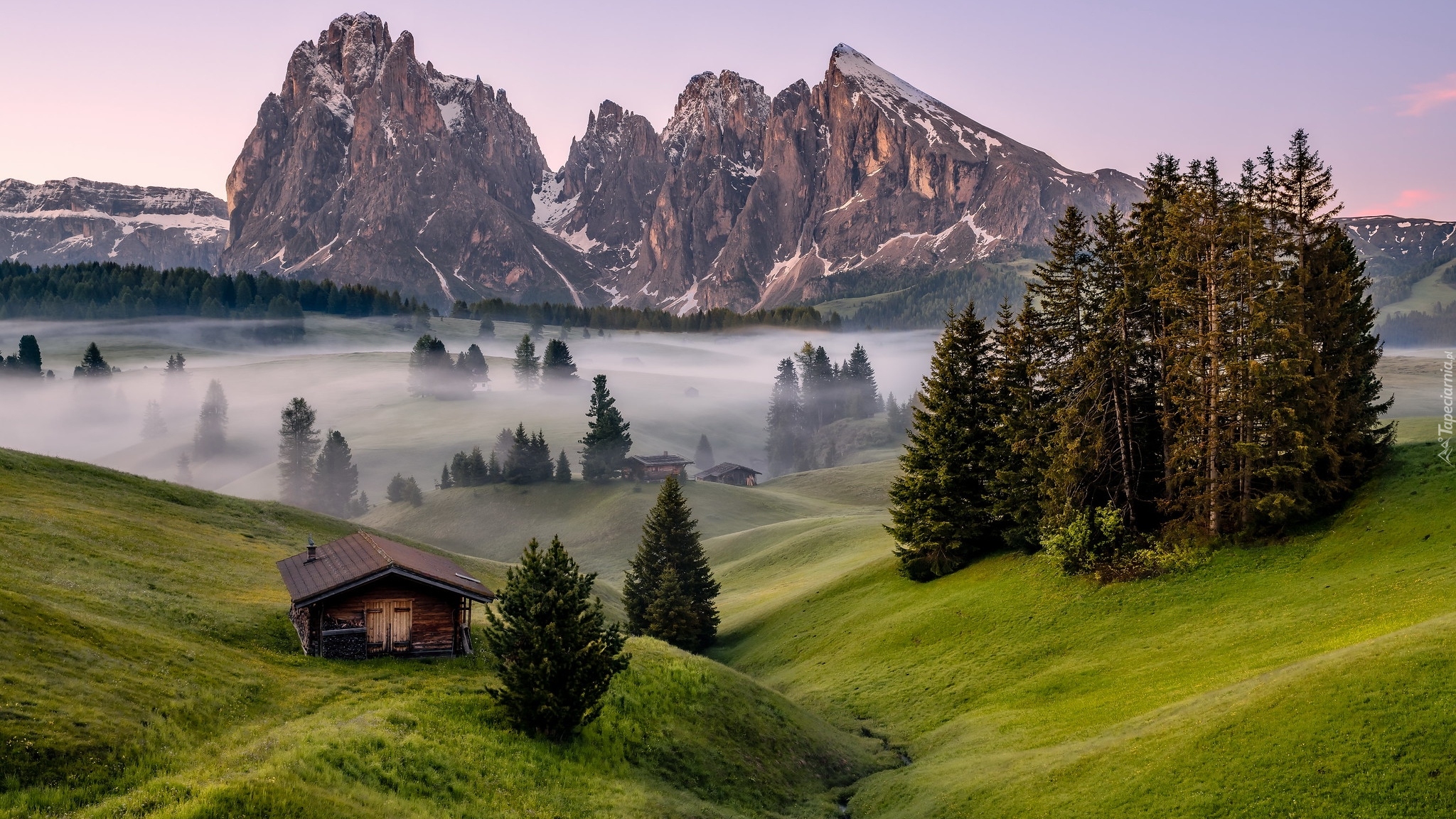 Mgła, Góry Sassolungo, Dolomity, Drewniane, Domy, Świerki, Płaskowyż Seiser Alm, Dolina Val Gardena, Łąki, Włochy