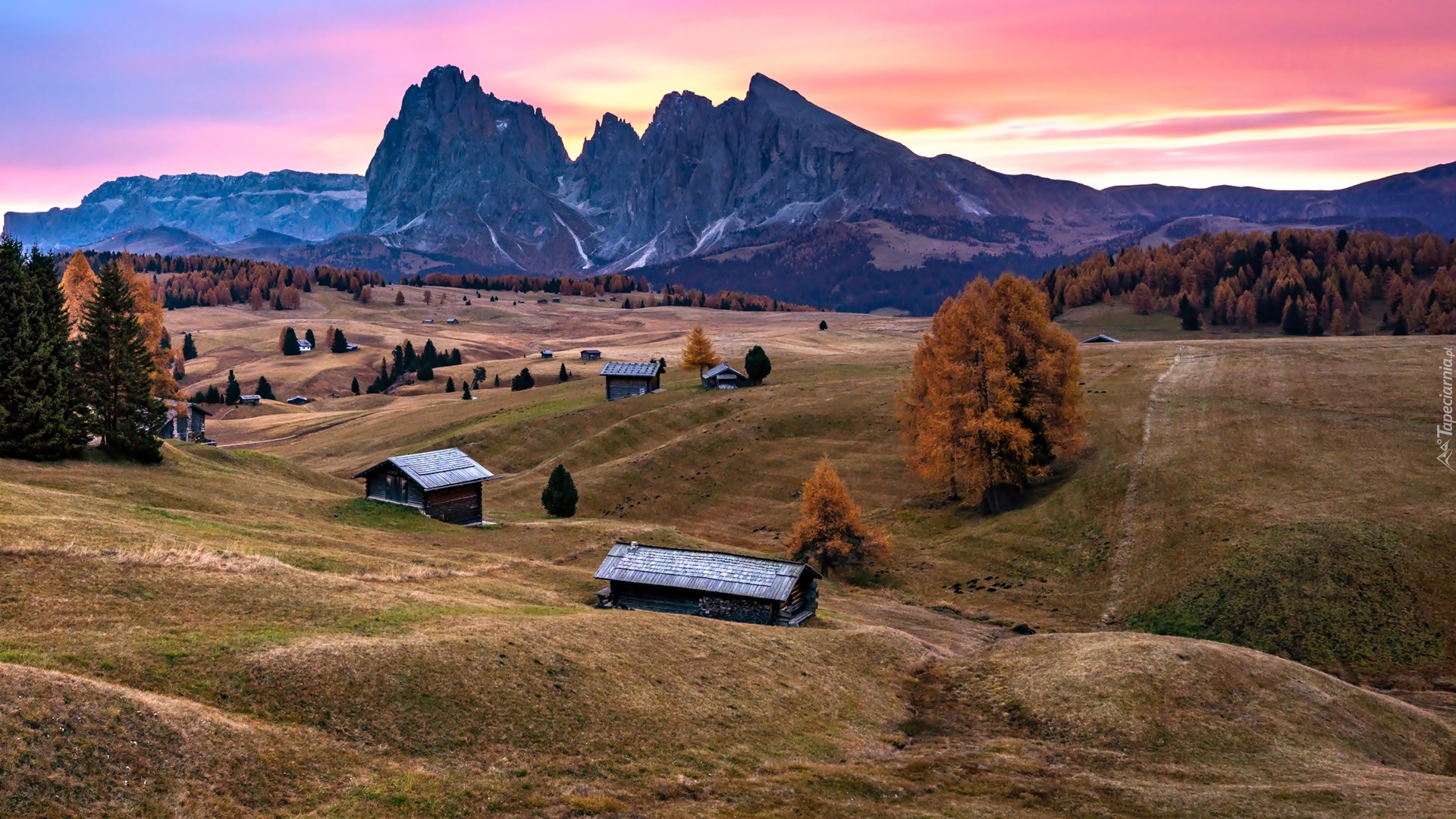 Dolomity, Góry, Sassolungo, Płaskowyż, Seiser Alm, Dolina, Val Gardena, Drzewa, Jesień, Wschód słońca, Drewniane, Domy, Włochy