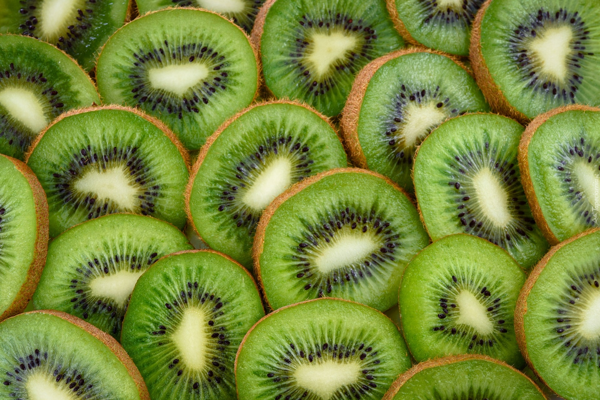 Kiwi, Plasterki