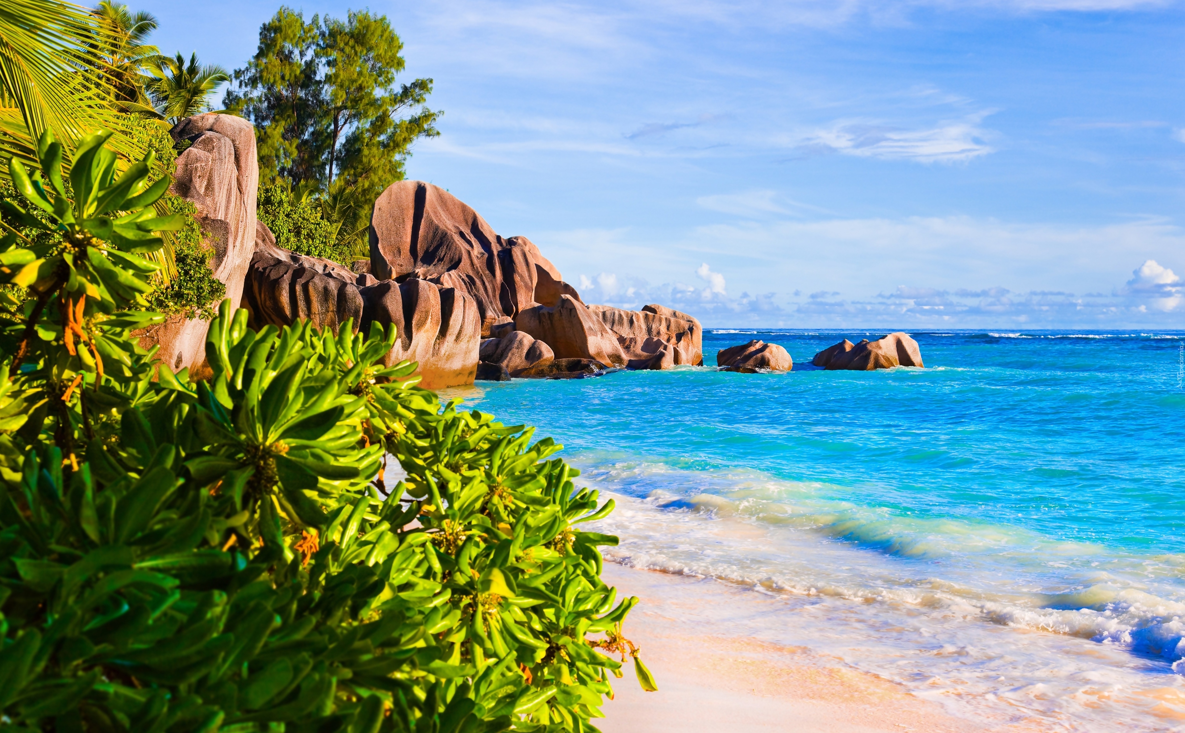 Seszele, Wyspa La Digue, Plaża Anse Source dArgent, Morze, Skały, Roślinność