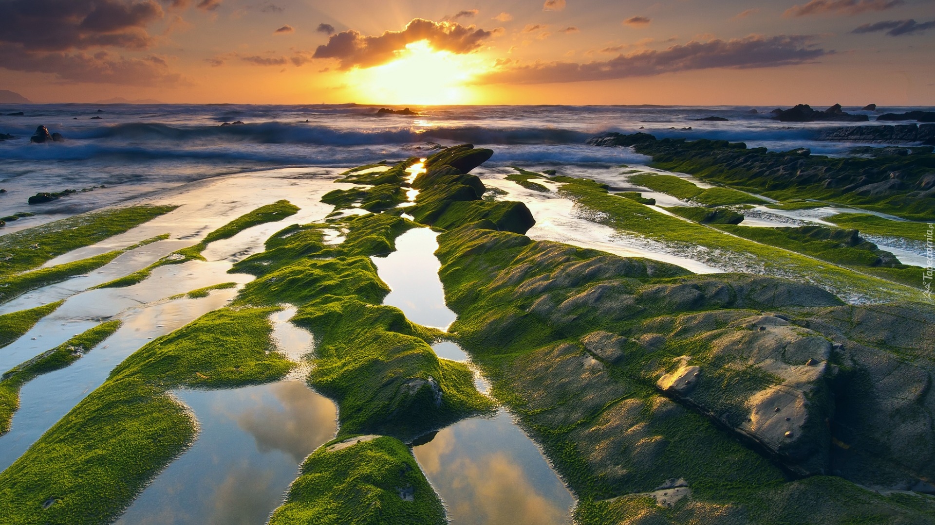 Hiszpania, Plaża Barrika, Zatoka Biskajska, Morze, Skały, Wschód Słońca, Mech