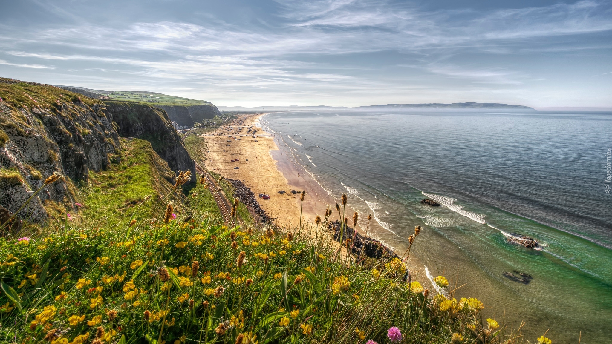 Morze, Wybrzeże, Skały, Kwiaty, Plaża, Benone Beach, Hrabstwo Londonderry, Irlandia Północna