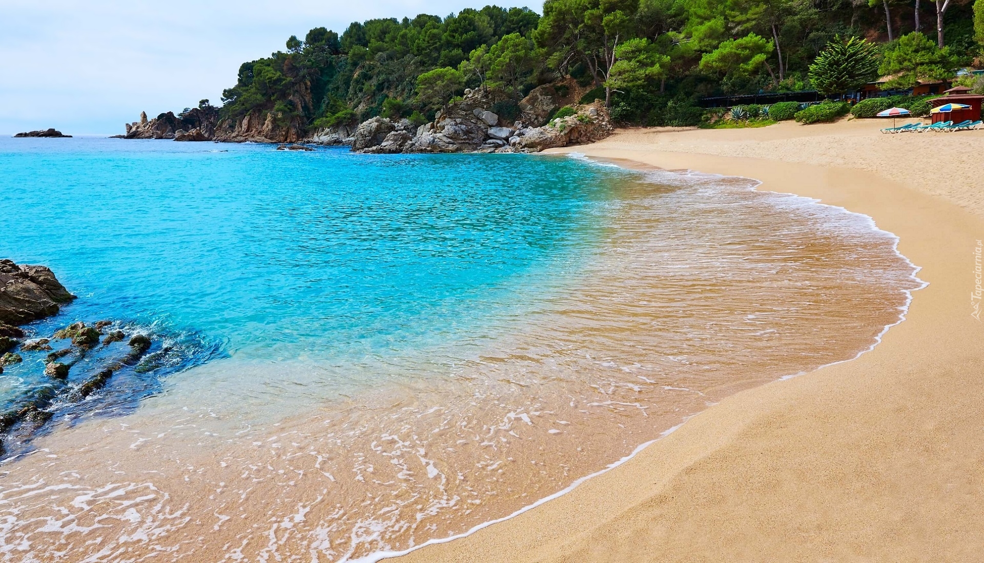 Lloret de Mar, Wakacje, Morze, Plaża Cala Treumal, Drzewa, Kamienie, Costa Brava, Prowincja Girona, Katalonia, Hiszpania