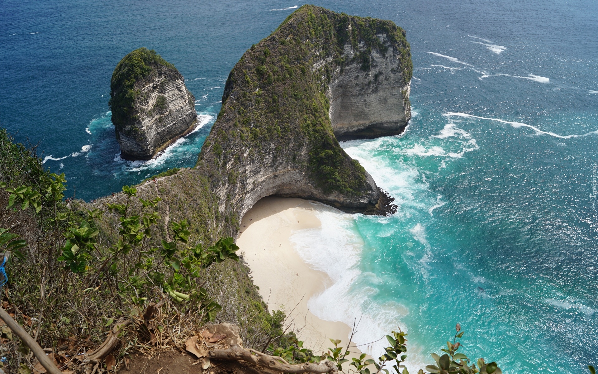 Klif, Skały, Plaża Kelingking Beach, Morze, Roślinność, Nusa Penida, Indonezja