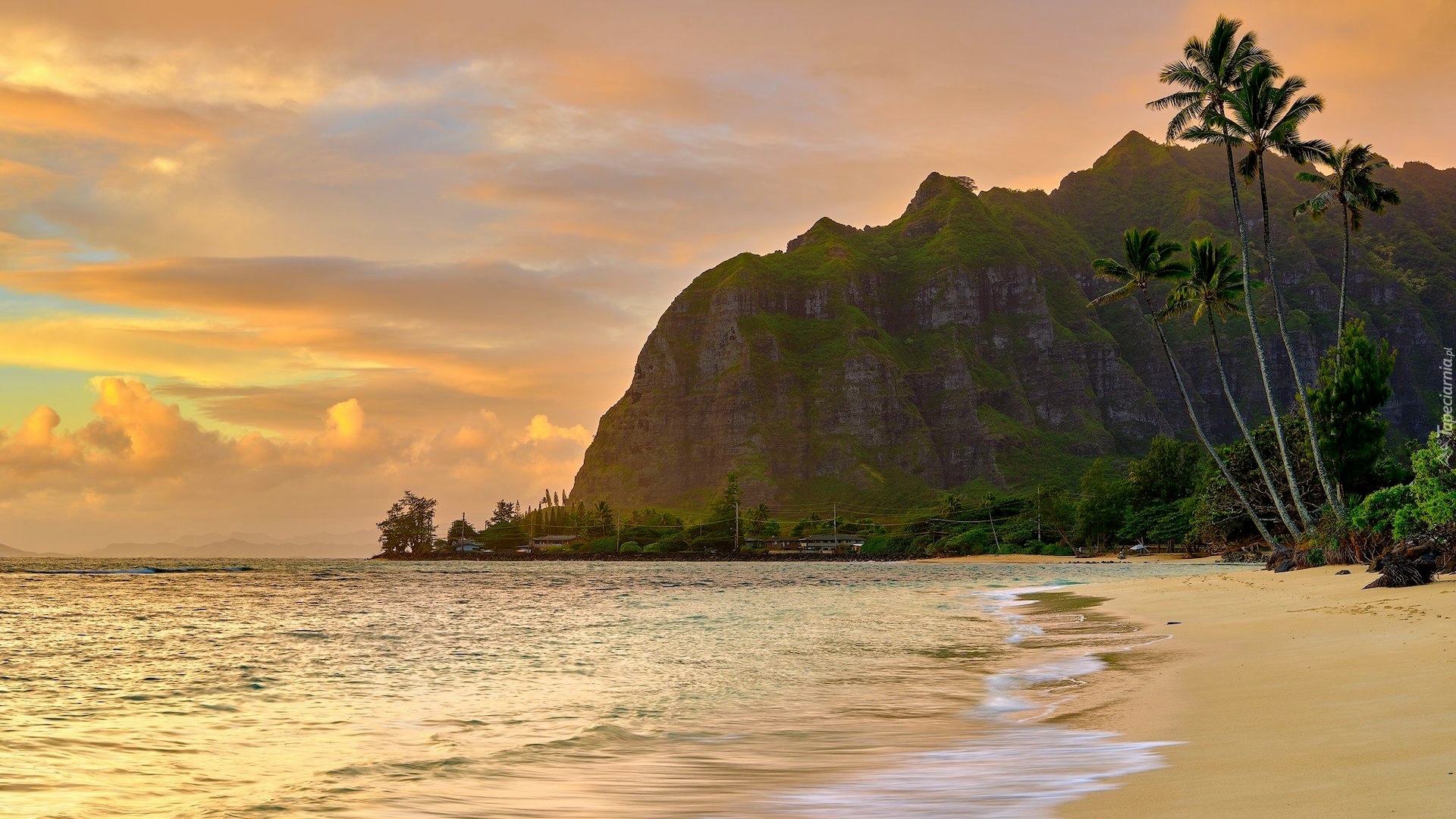 Stany Zjednoczone, Hawaje, Oahu, Morze, Plaża, Palmy, Góry