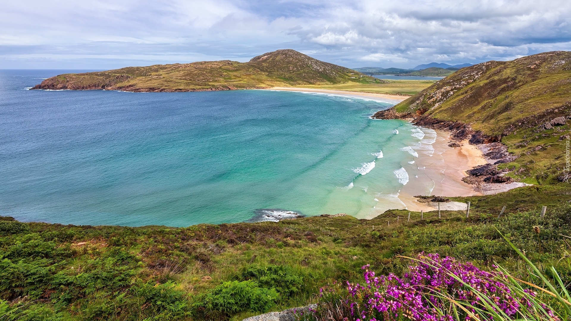 Morze, Wybrzeże, Plaża, Kwiaty, Roślinność, Półwysep Rosguill, Hrabstwo Donegal, Irlandia