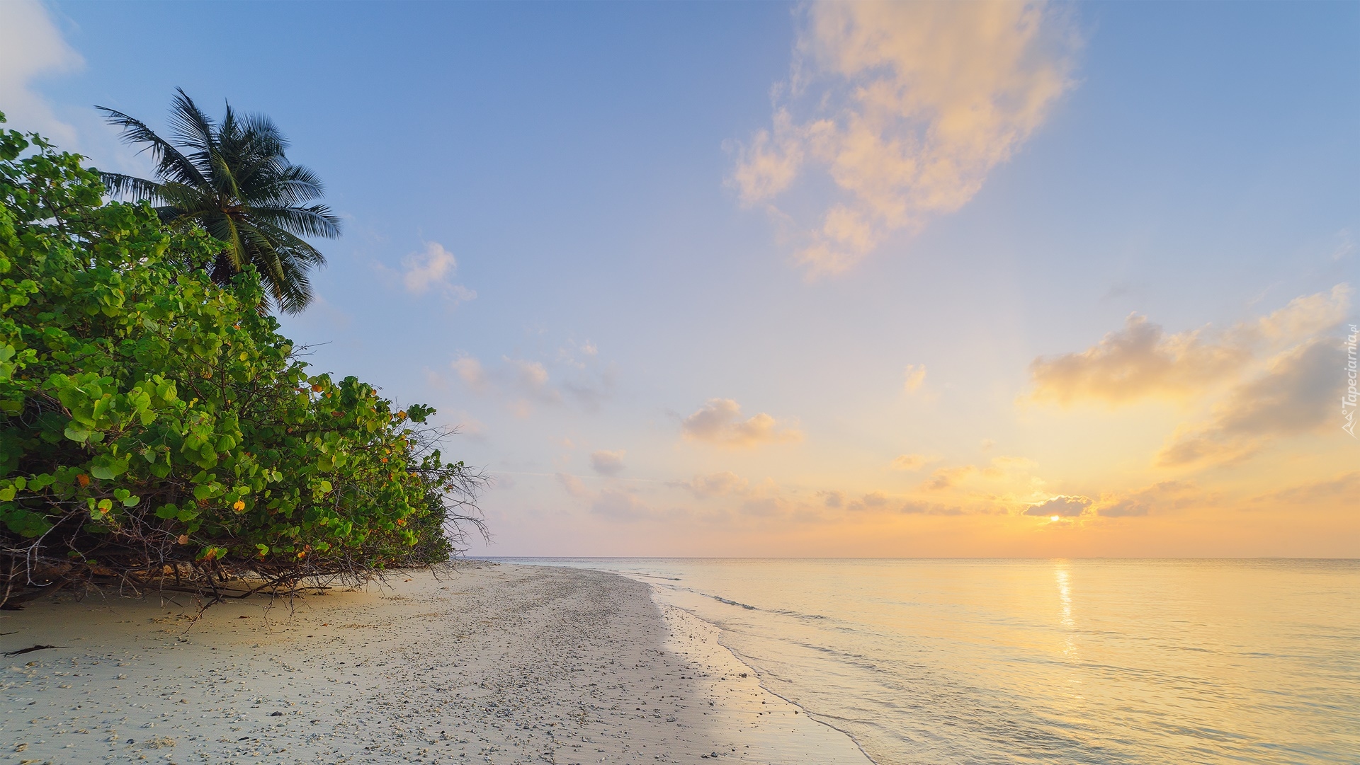 Plaża, Palma, Morze, Wschód słońca, Wyspa Feridhoo, Malediwy