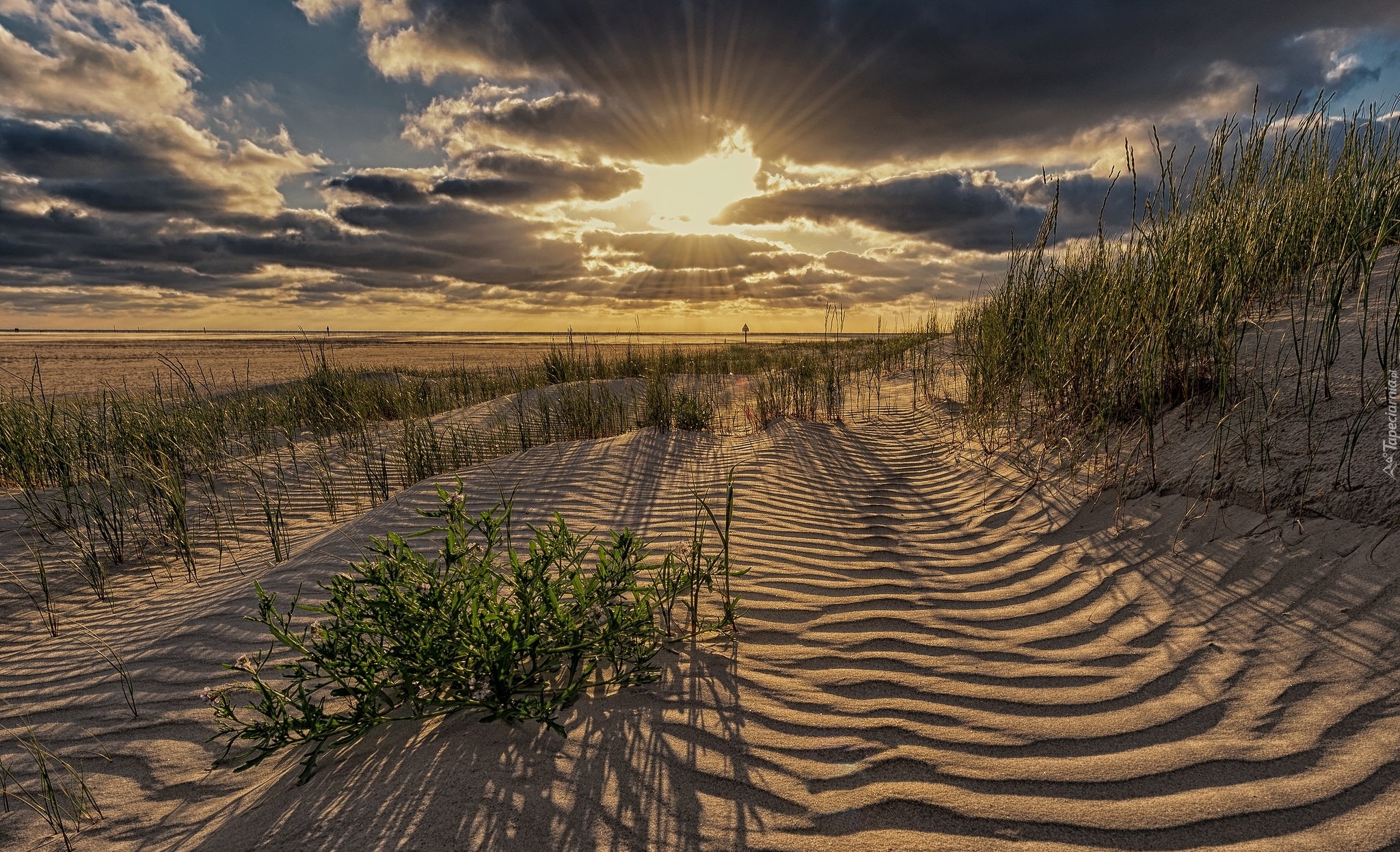 Niemcy, Sankt Peter-Ording, Piaszczyste, Wybrzeże, Morze Północne,  Promienie słońca, Plaża