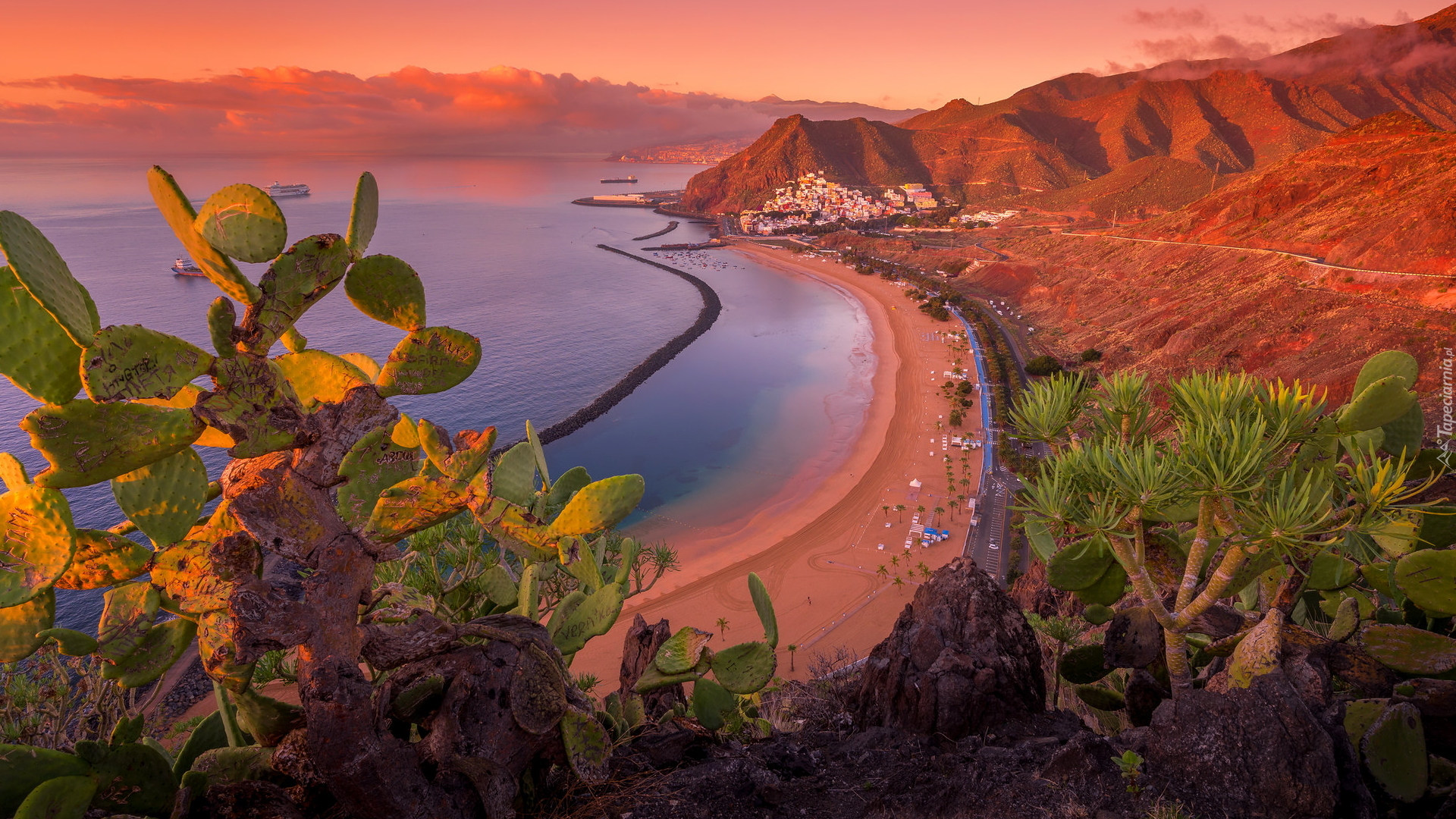 Plaża, Playa de Las Teresitas, Góry, Kaktusy, Wyspy Kanaryjskie, Teneryfa, Hiszpania