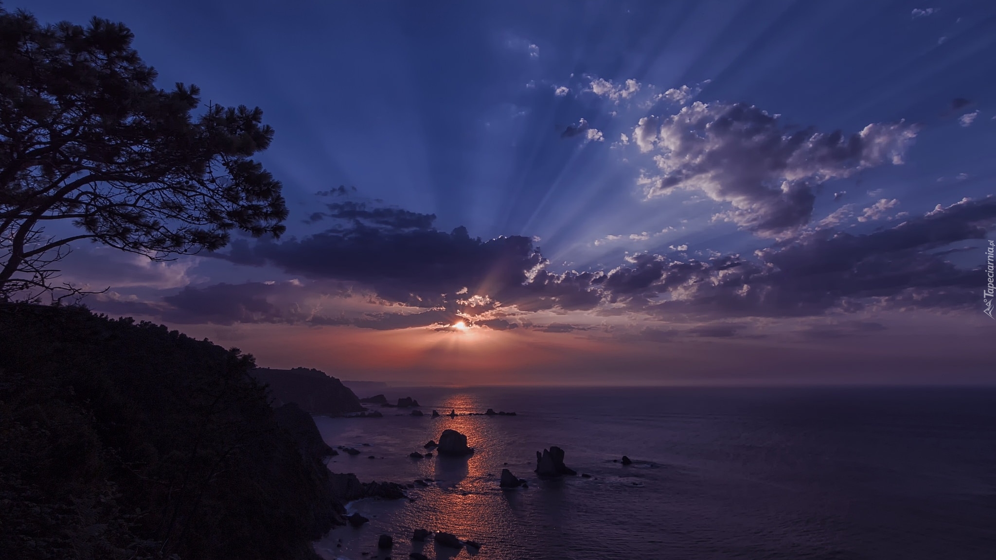 Hiszpania, Asturia, Plaża Playa del Silencio, Wybrzeże, Morze, Chmury, Zachód słońca, Drzewo