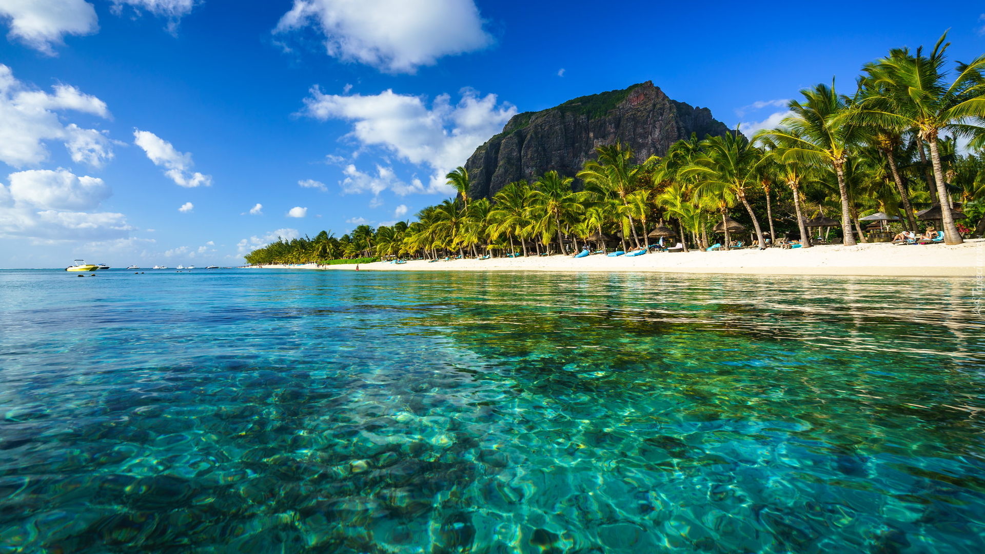 Morze, Plaża, Palmy, Góra, Le Morne Brabant, Mauritius