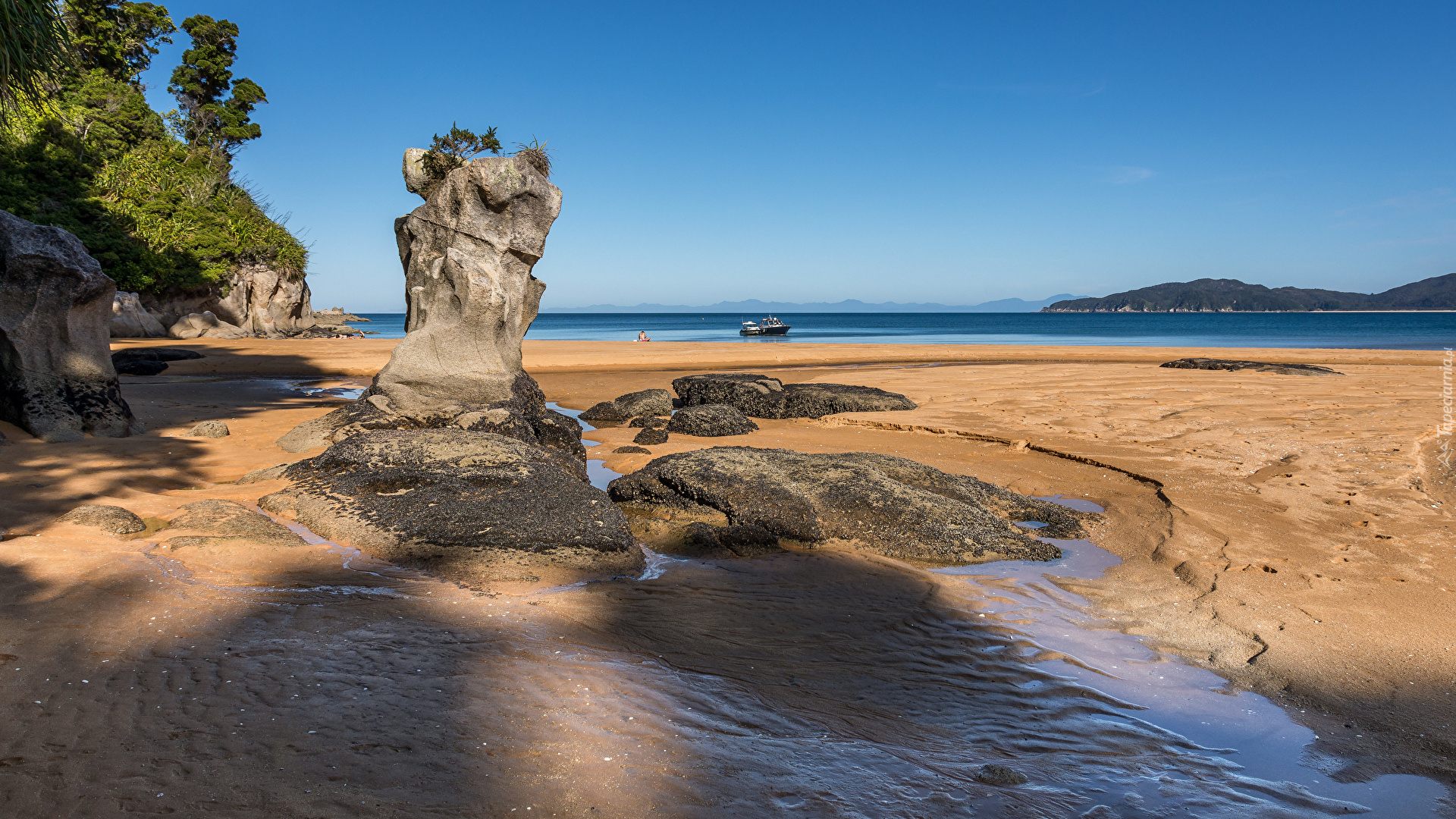 Plaża, Totaranui Camping Area, Wybrzeże, Morze, Skały, Park Narodowy Abel Tasman, Tasmania, Nowa Zelandia