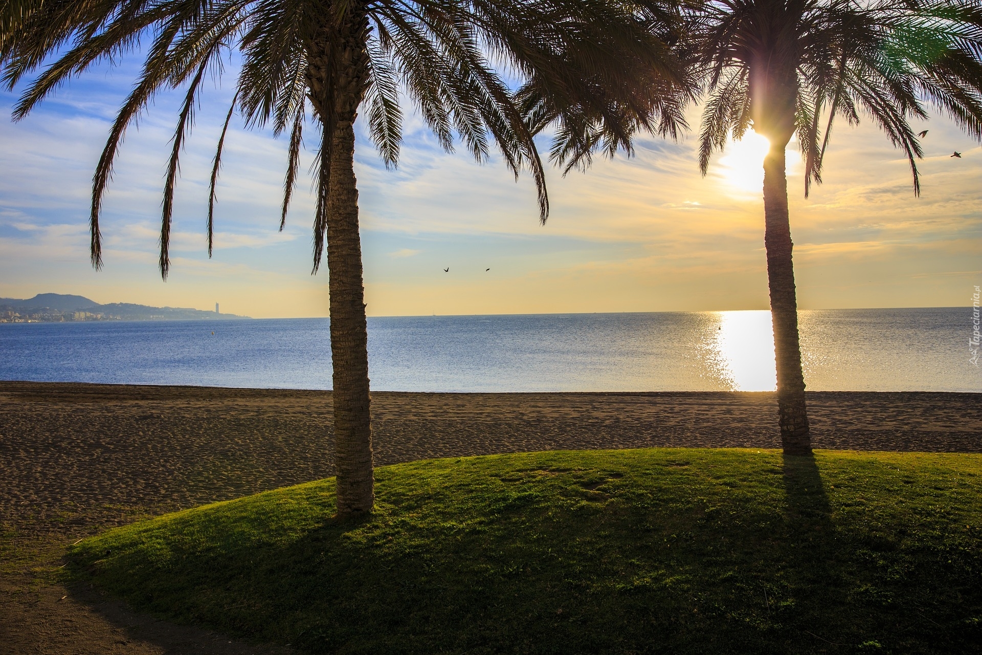 Palmy, Wschód słońca, Plaża, Morze Śródziemne, Malaga, Region, Turystyczny, Costa del Sol, Hiszpania
