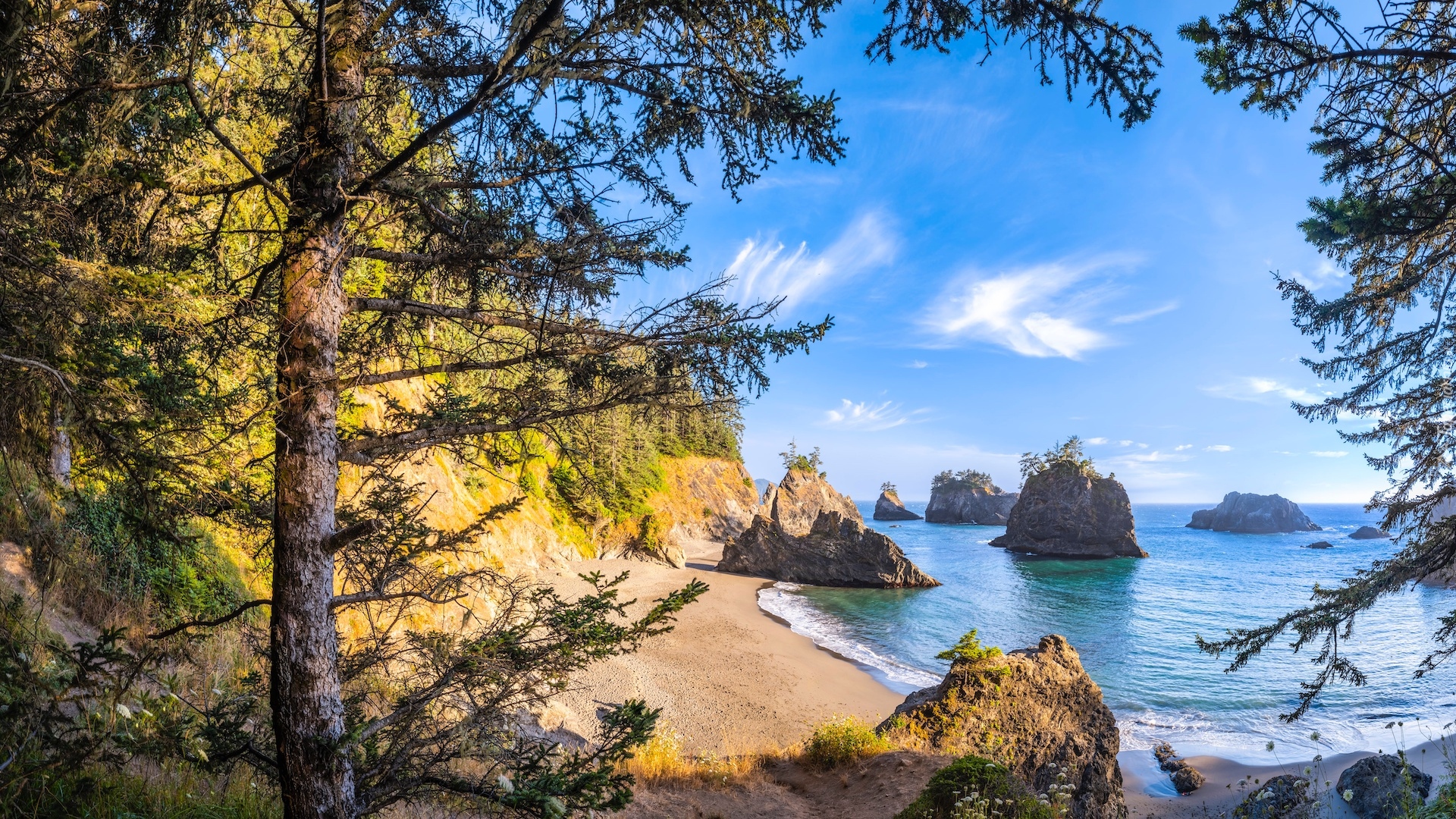 Morze, Wysepki, Skały, Drzewa, Wybrzeże Park stanowy, Samuel H Boardman State Scenic Corridor, Punkt widokowy, Natural Bridges Viewpoint, Brookings, Oregon, Stany Zjednoczone