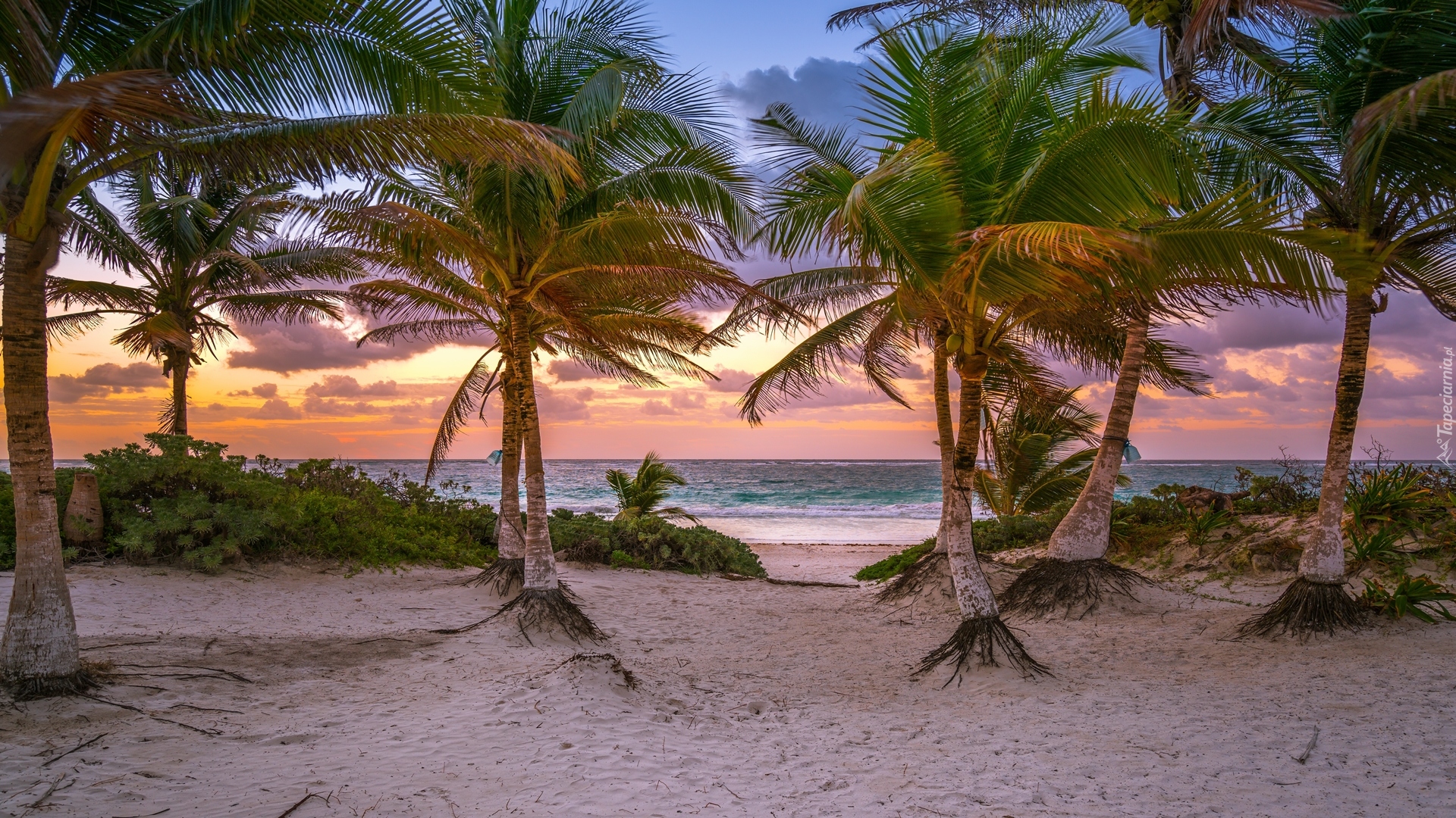 Meksyk, Prowincja Quintana Roo, Miejscowość Tulum, Wschód Słońca, Morze Karaibskie, Palmy, Chmury